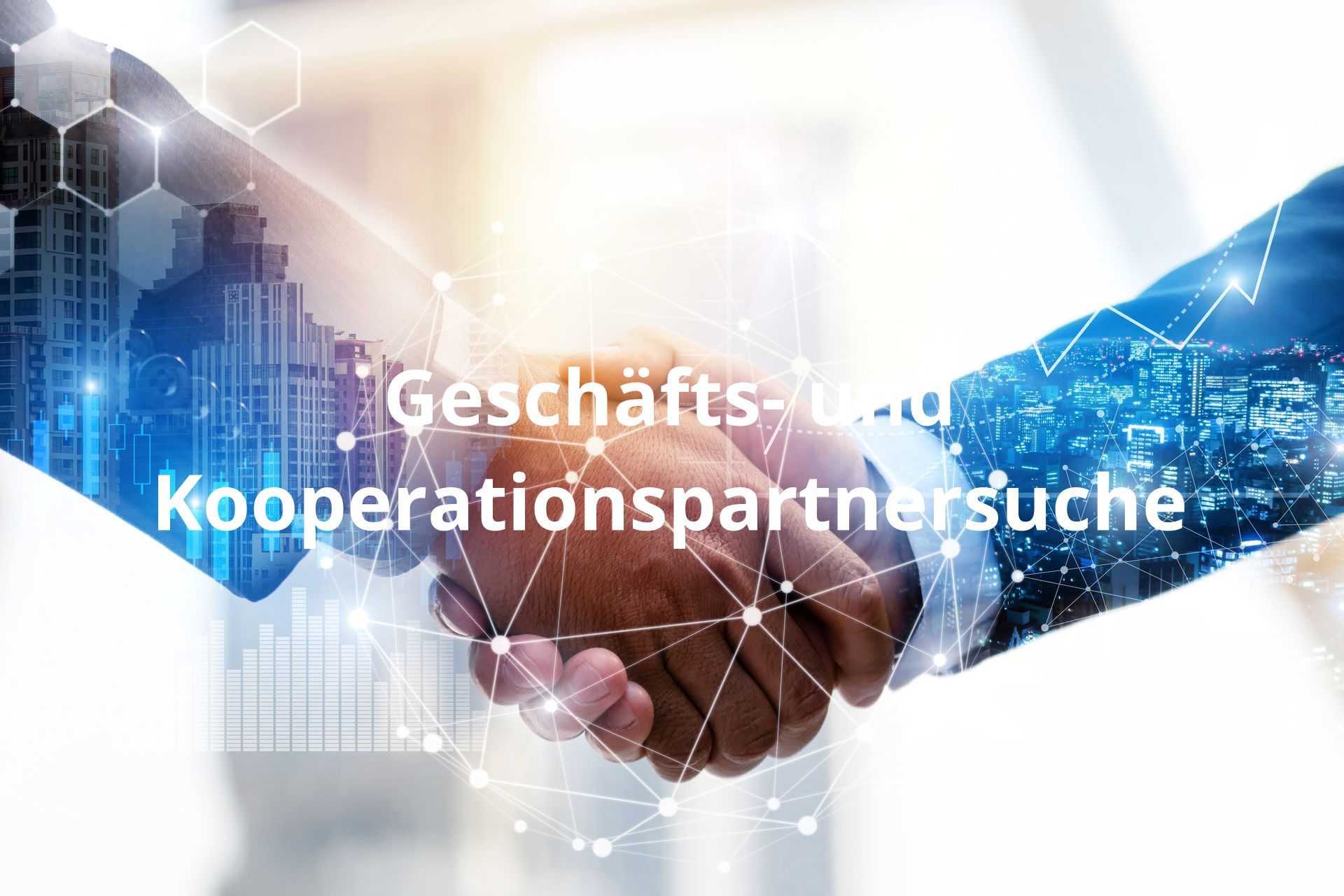 Geschäfts- und Kooperationspartnersuche