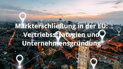 Markterschließung in der EU: Vertriebsstrategien und Unternehmensgründung
