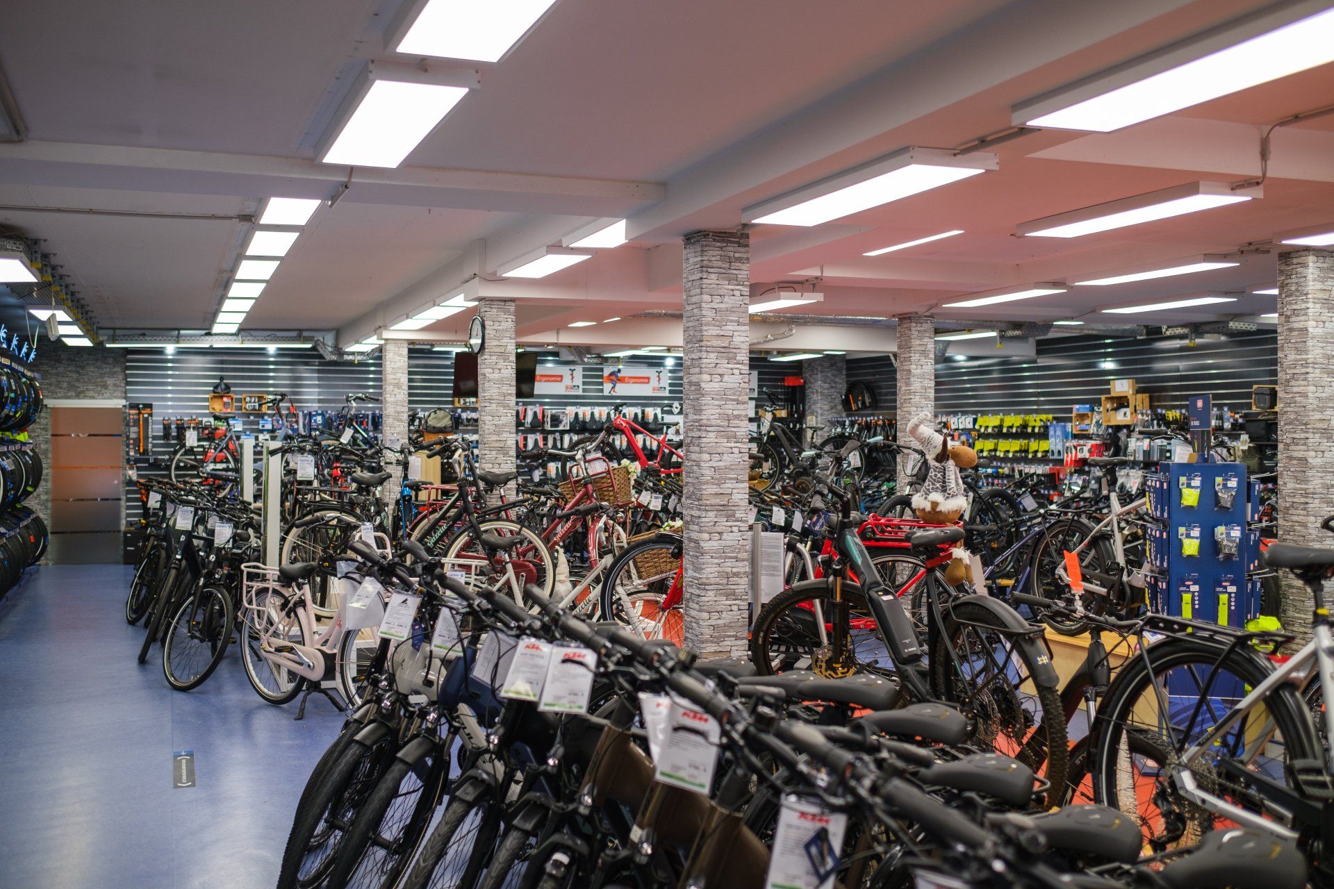 2RAD LEUER Verkaufsbereich Fahrräder und Zubehör