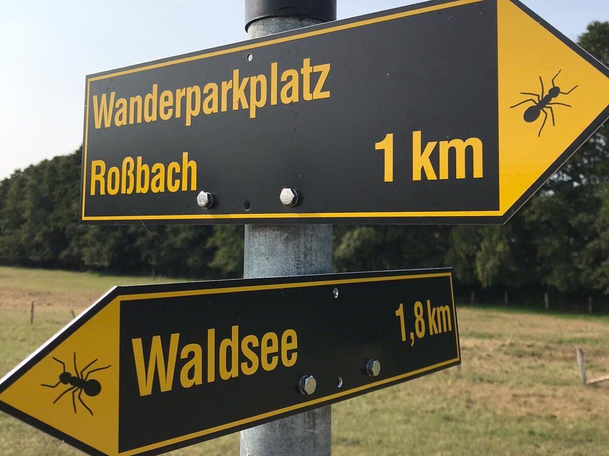 Roßbach Wanderweg Ameisenweg