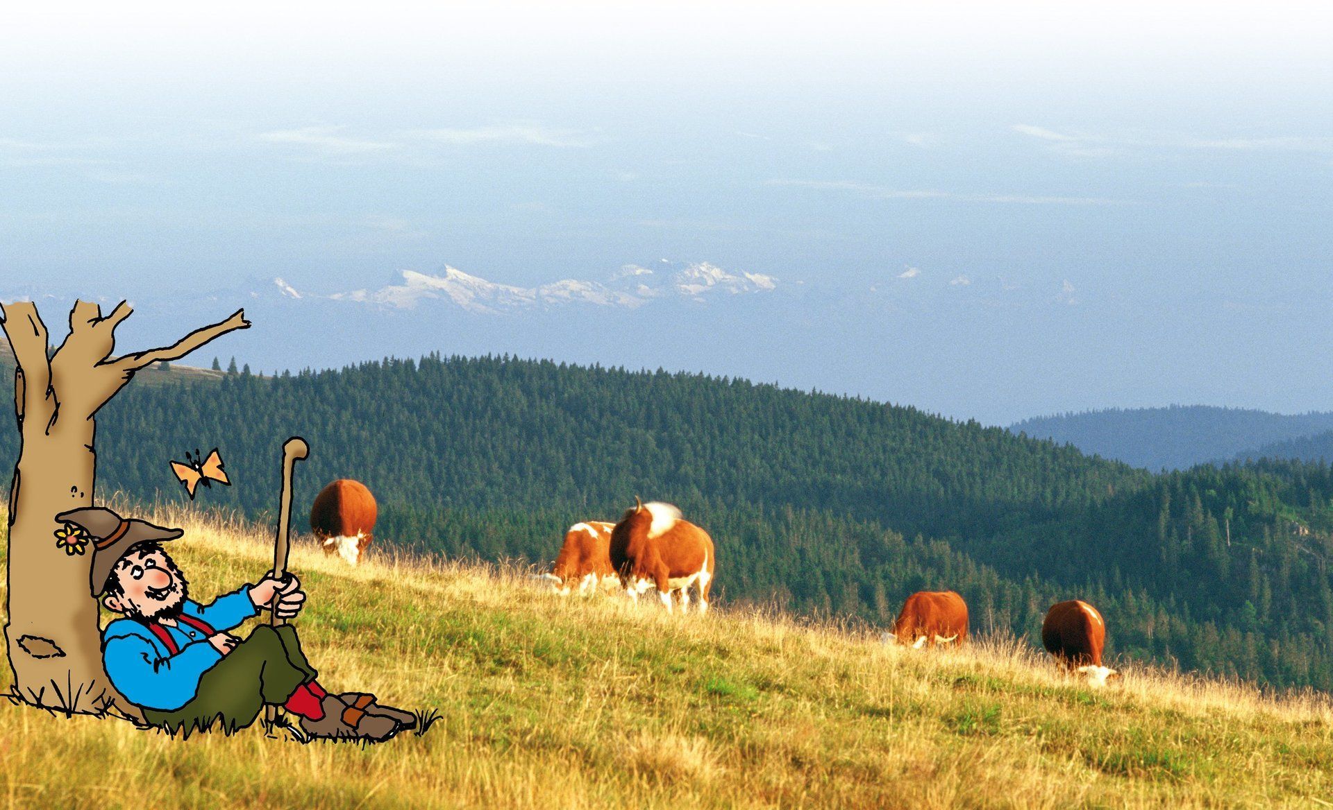 Allmendweide Muggenbrunn