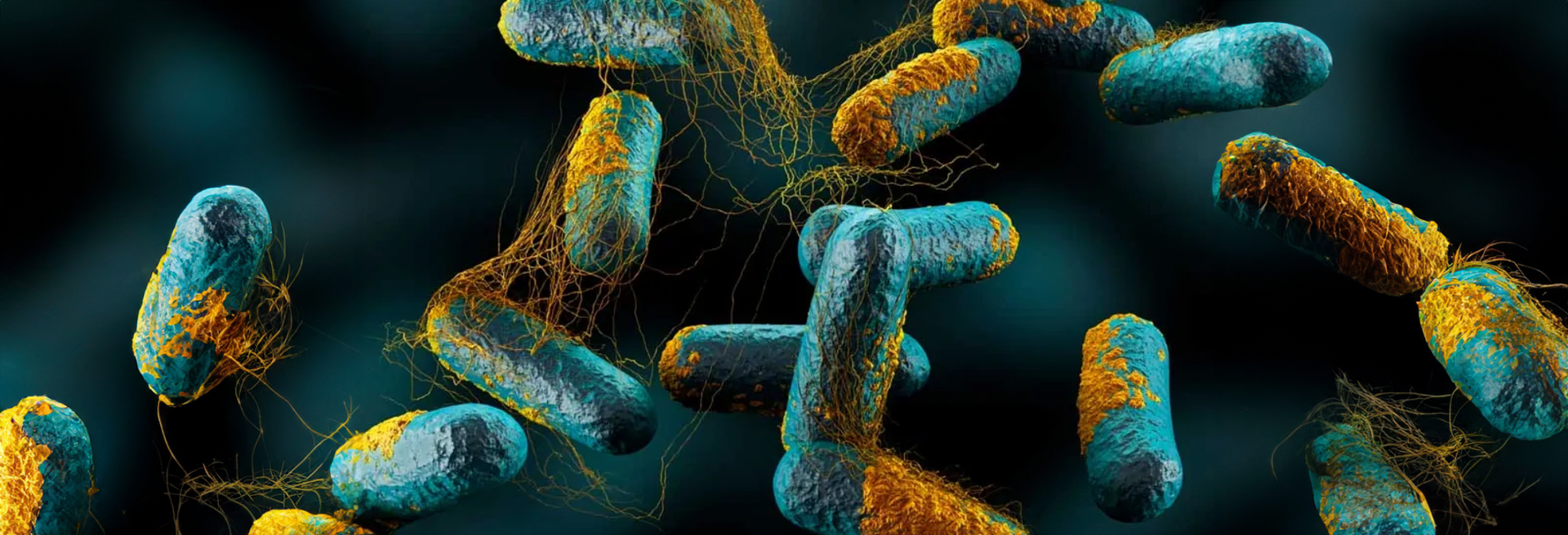 Bacteria Clostridium botulinium vista al microscopio