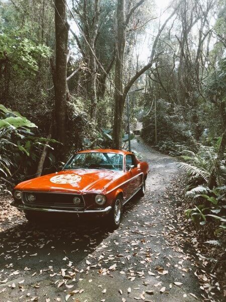 Coche vintage rojo en mitad de un bosque con el logo de Más Que Un Seguro en el capó