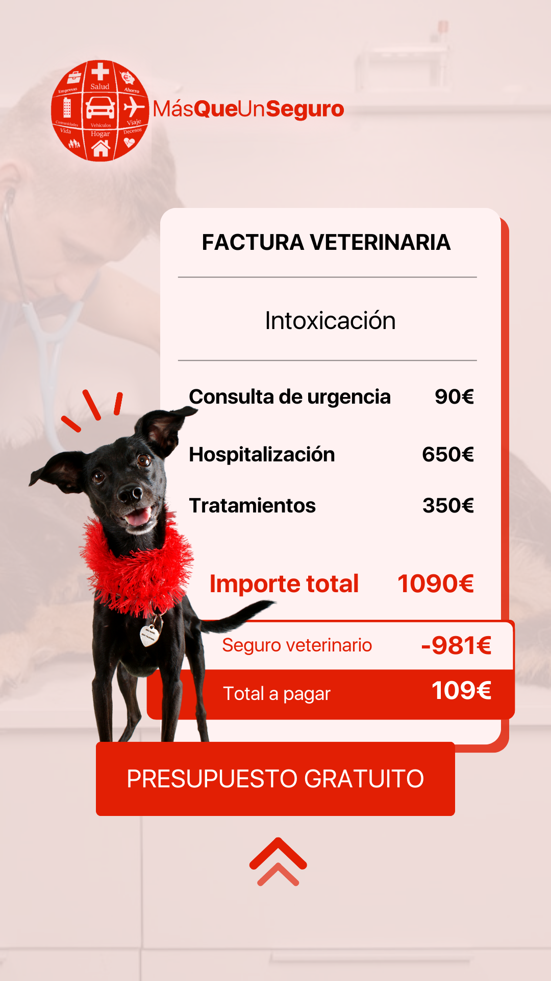 seguro obligatorio para perro 2023 - Más Que Un Seguro