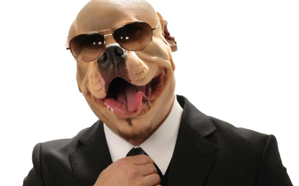 Pitbull: nueva ley de bienestar animal 2023