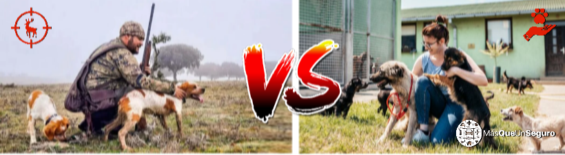 Cazadores y la nueva ley de bienestar animal