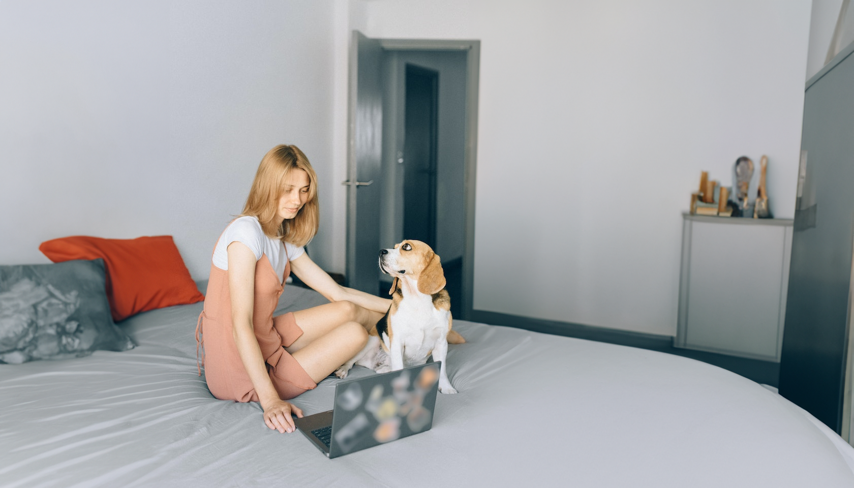 Seguro obligatorio perros: joven y su perro consultando un ordenador