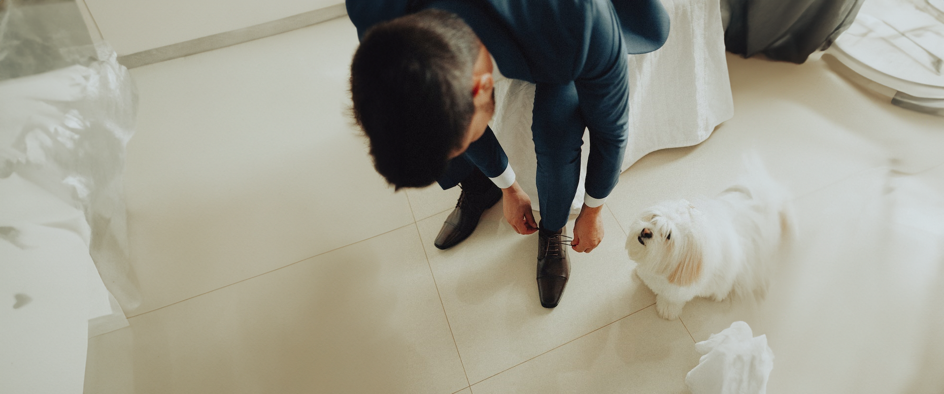 Seguro para perros obligatorio retrasado por el Gobierno en funciones