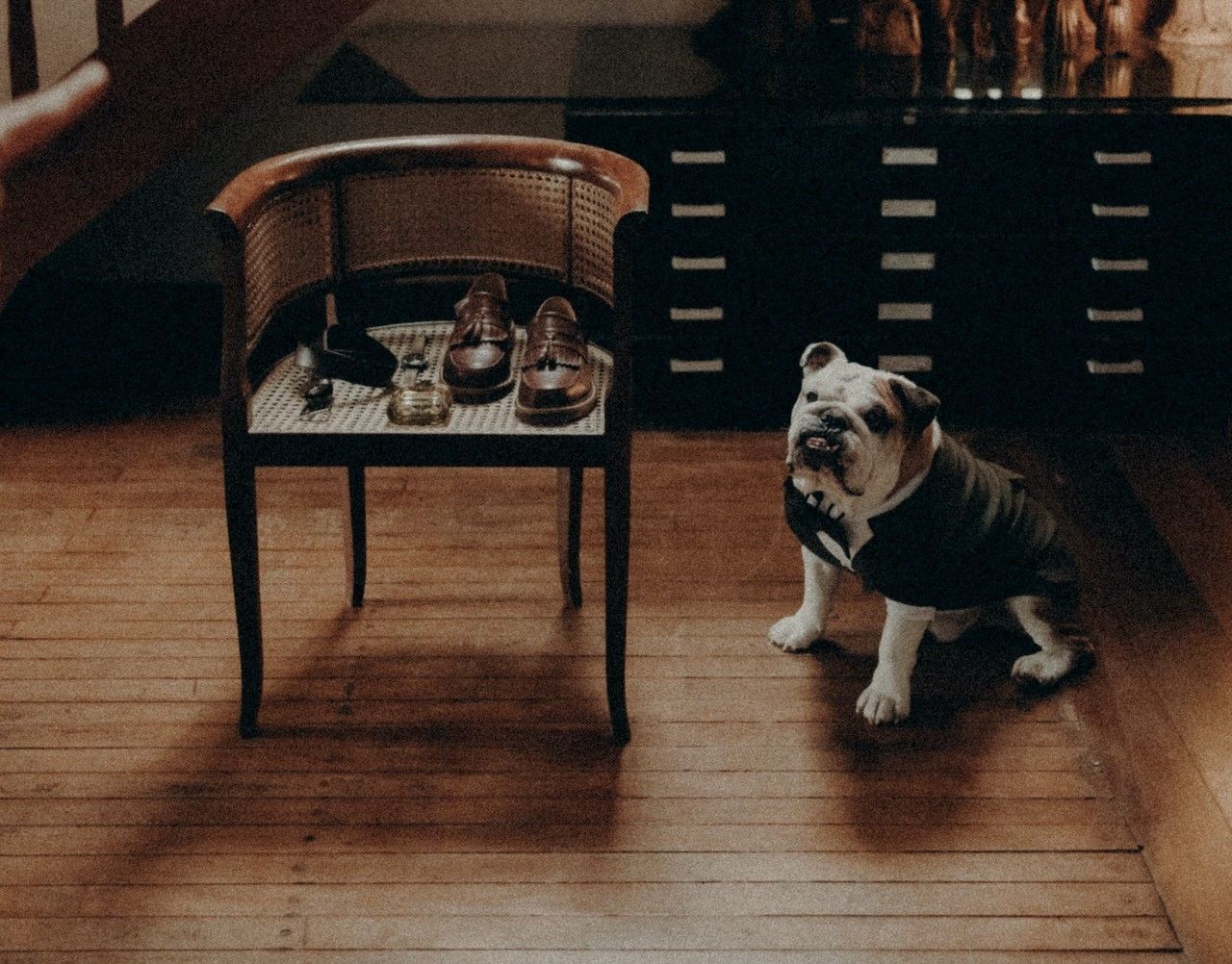 Factura veterinaria
