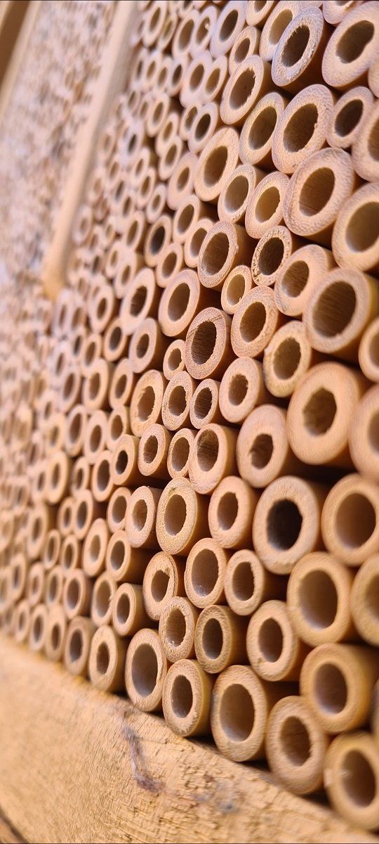 Glatte Premium -Bambusröhren ohne Splitter - sicheres Nistmaterial für Wildbienen im FtN Shop