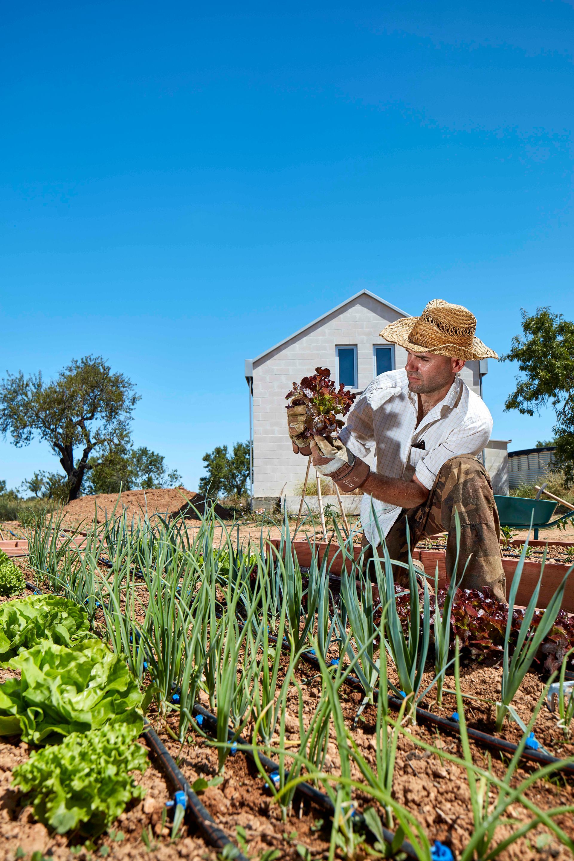 Monte do Alamo, Tavira
