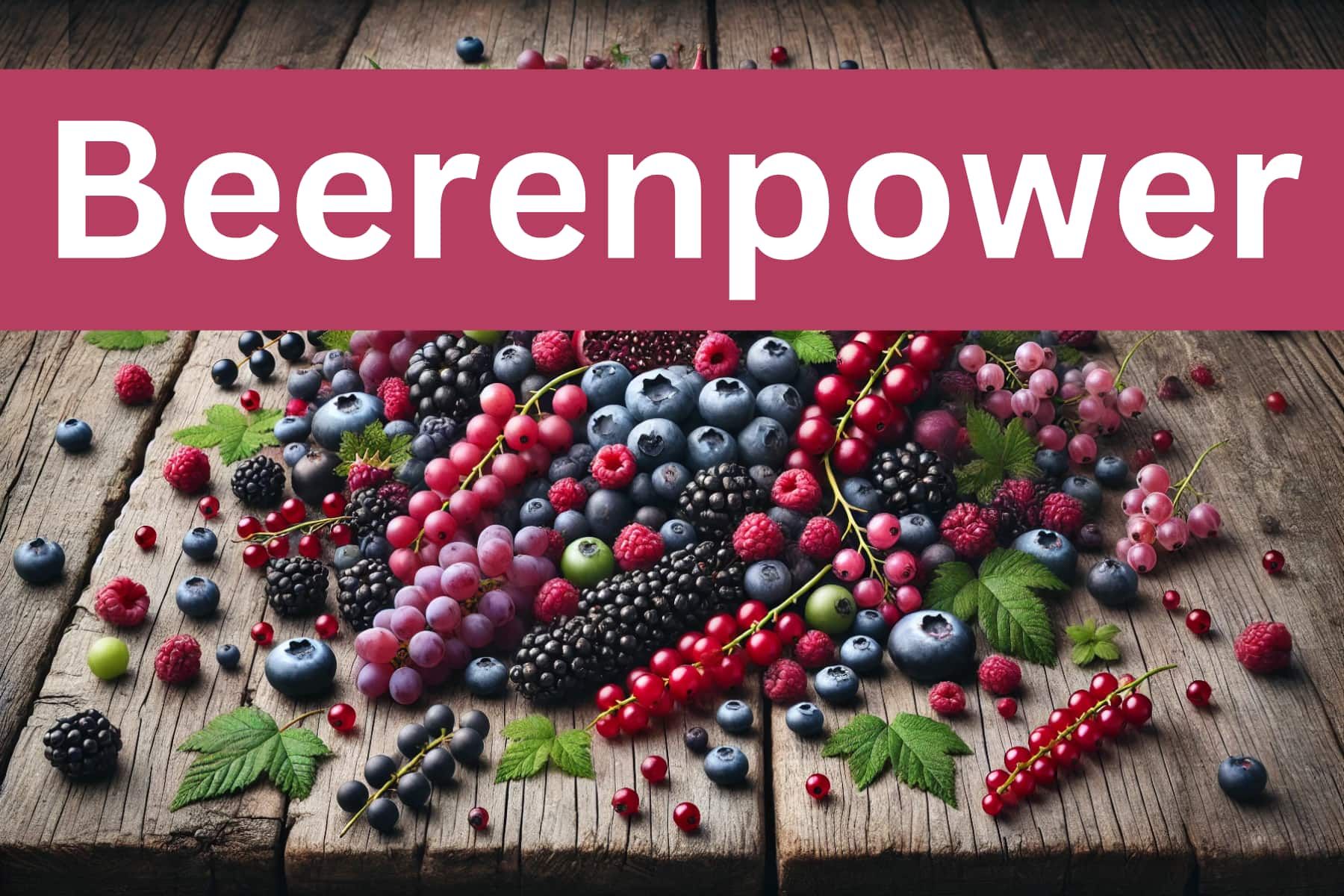 Beerenpower Beerenpower-Wissen-ist-mehr-de