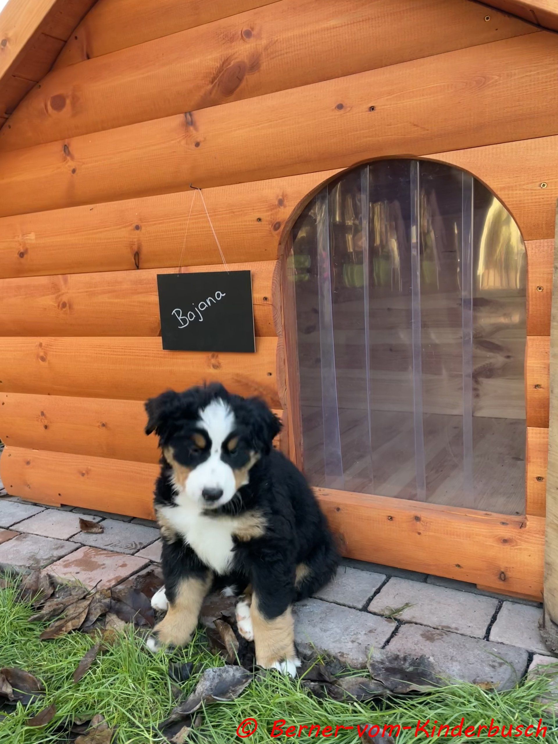 Bajanna vom Kinderbusch 2021-11-27