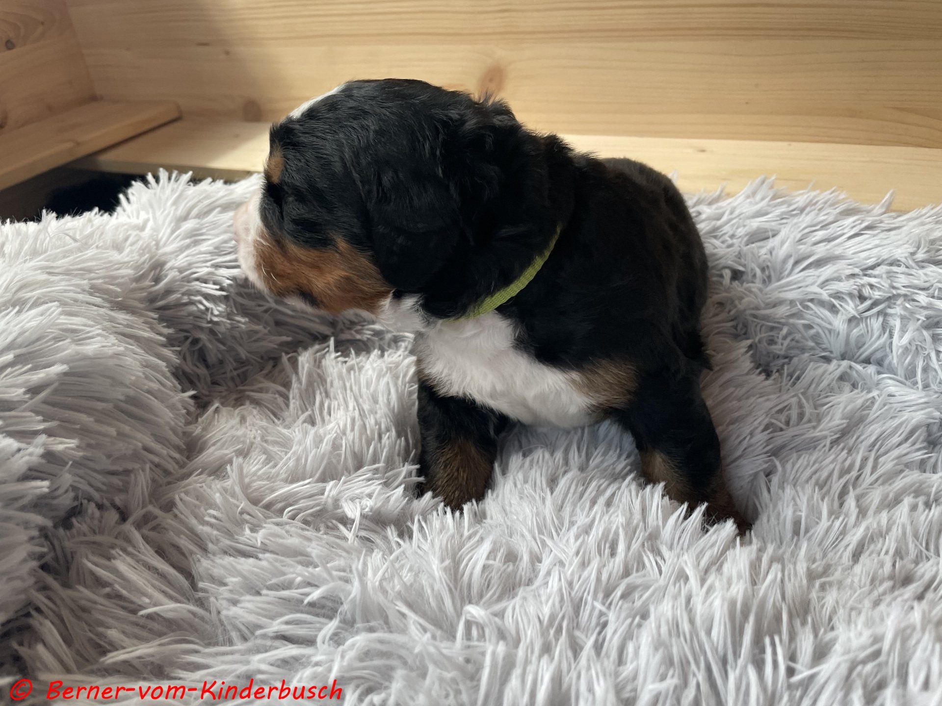 Beth 2021-10-23 ich muss weg