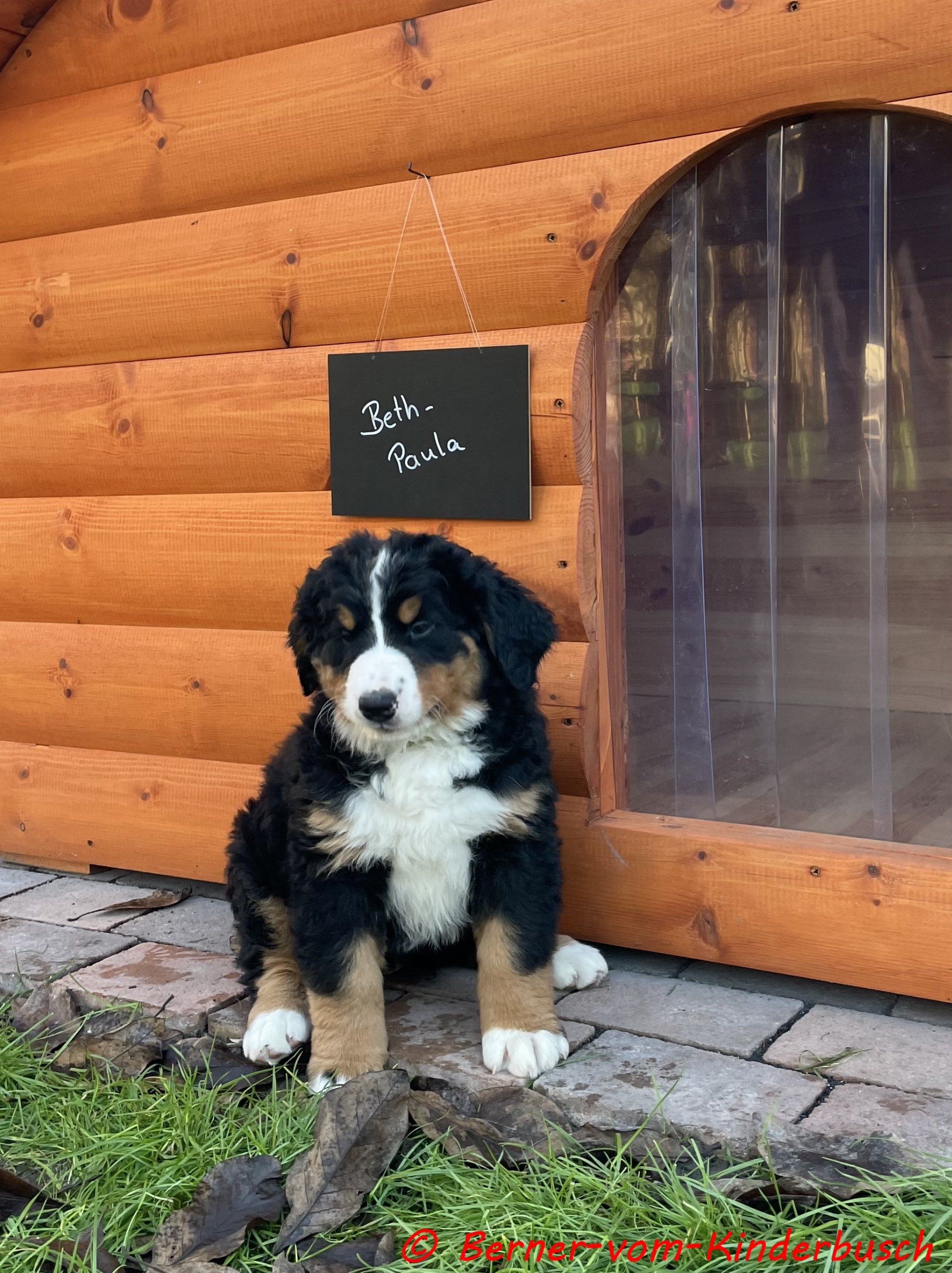 Beth-Paula vom Kinderbusch 2021-11-27