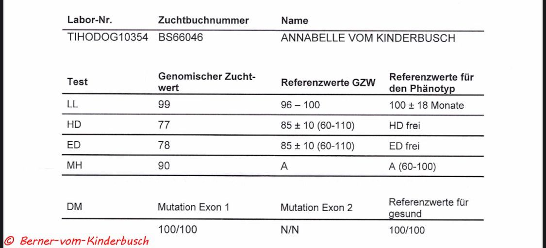 gen. Zuchtwerte Annabelle vom Kinderbusch