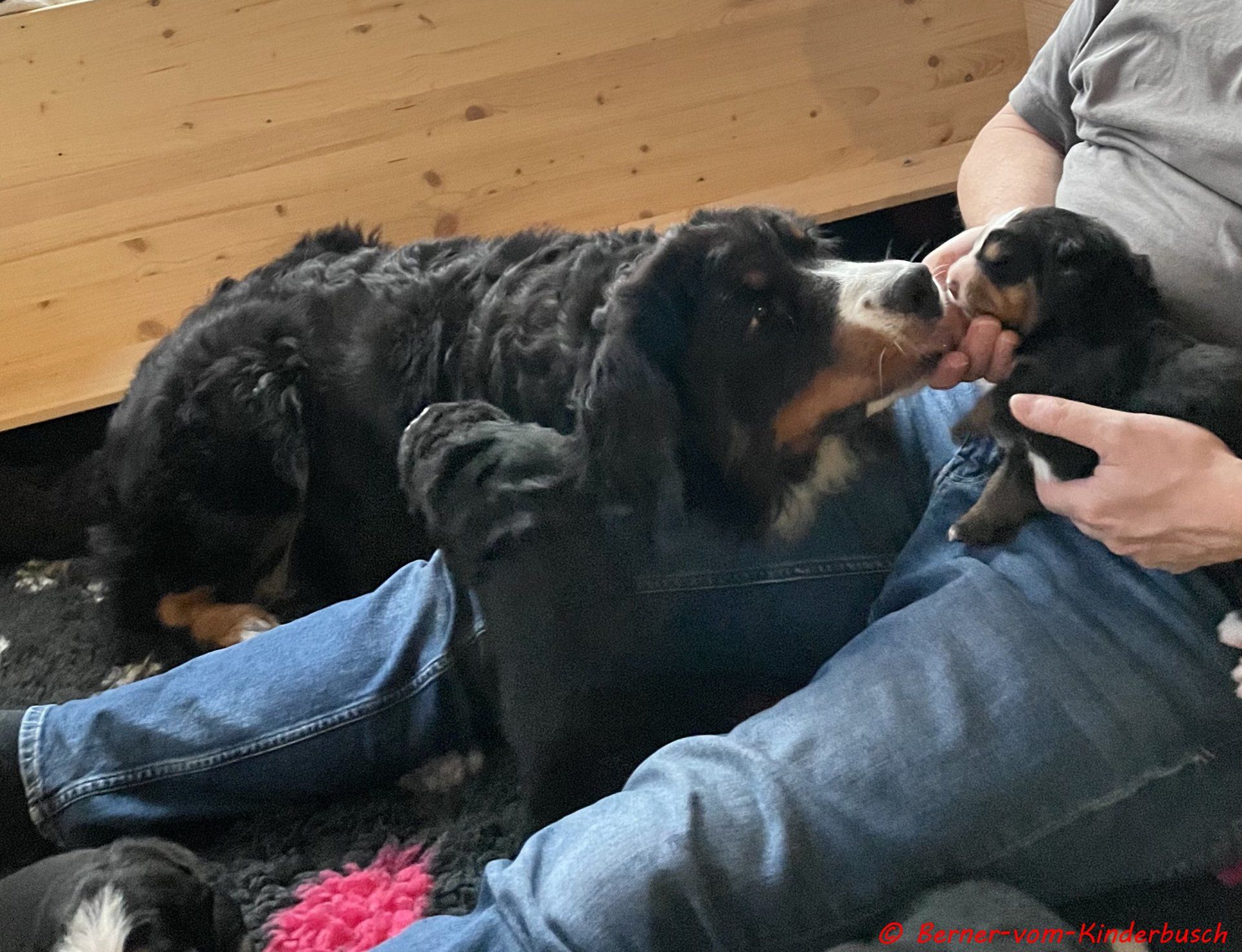 Bea  und Bonnie, wem schmeckt das Tatar am Besten.