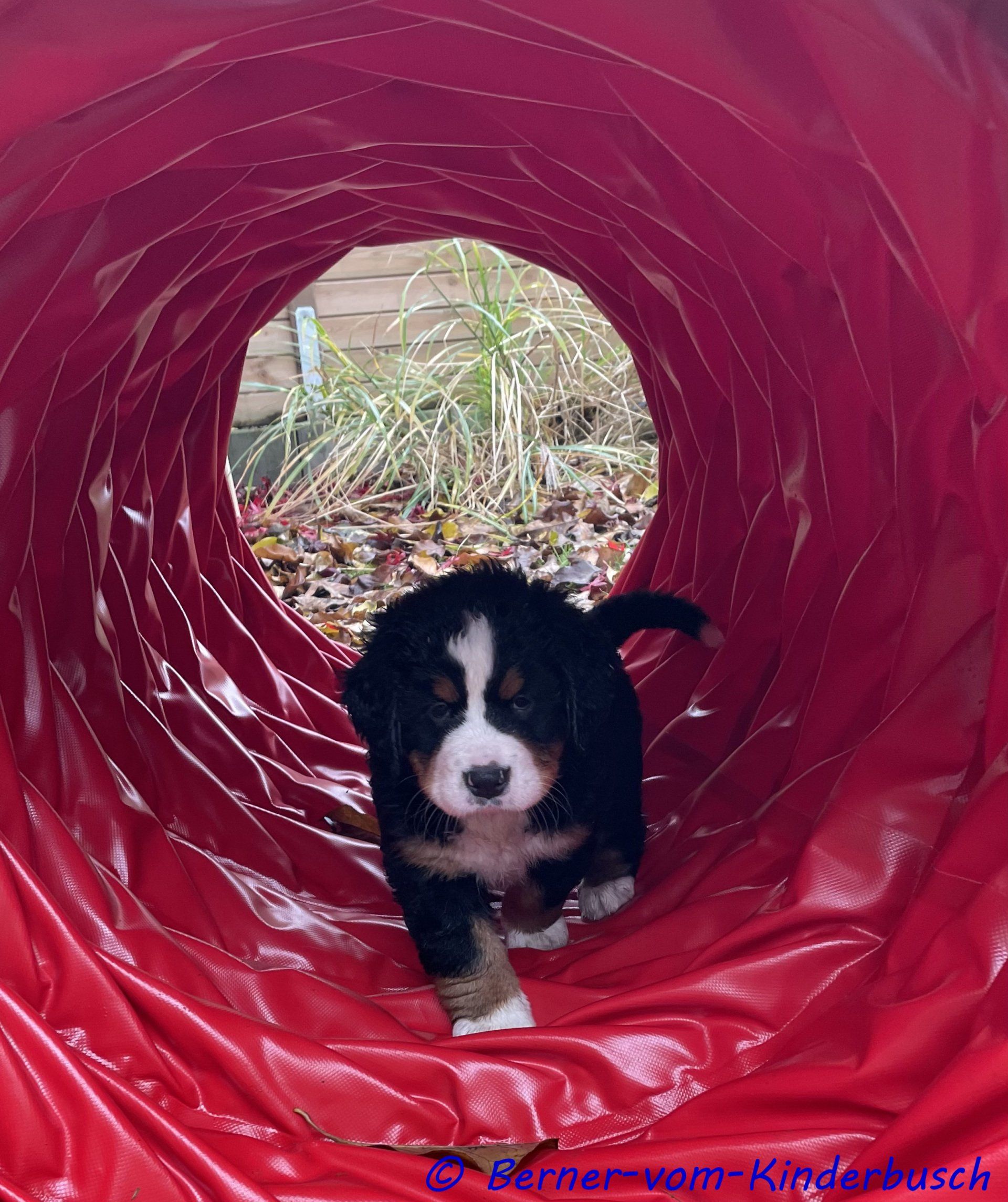 Beth-Paula vom Kinderbusch 2021-11-14