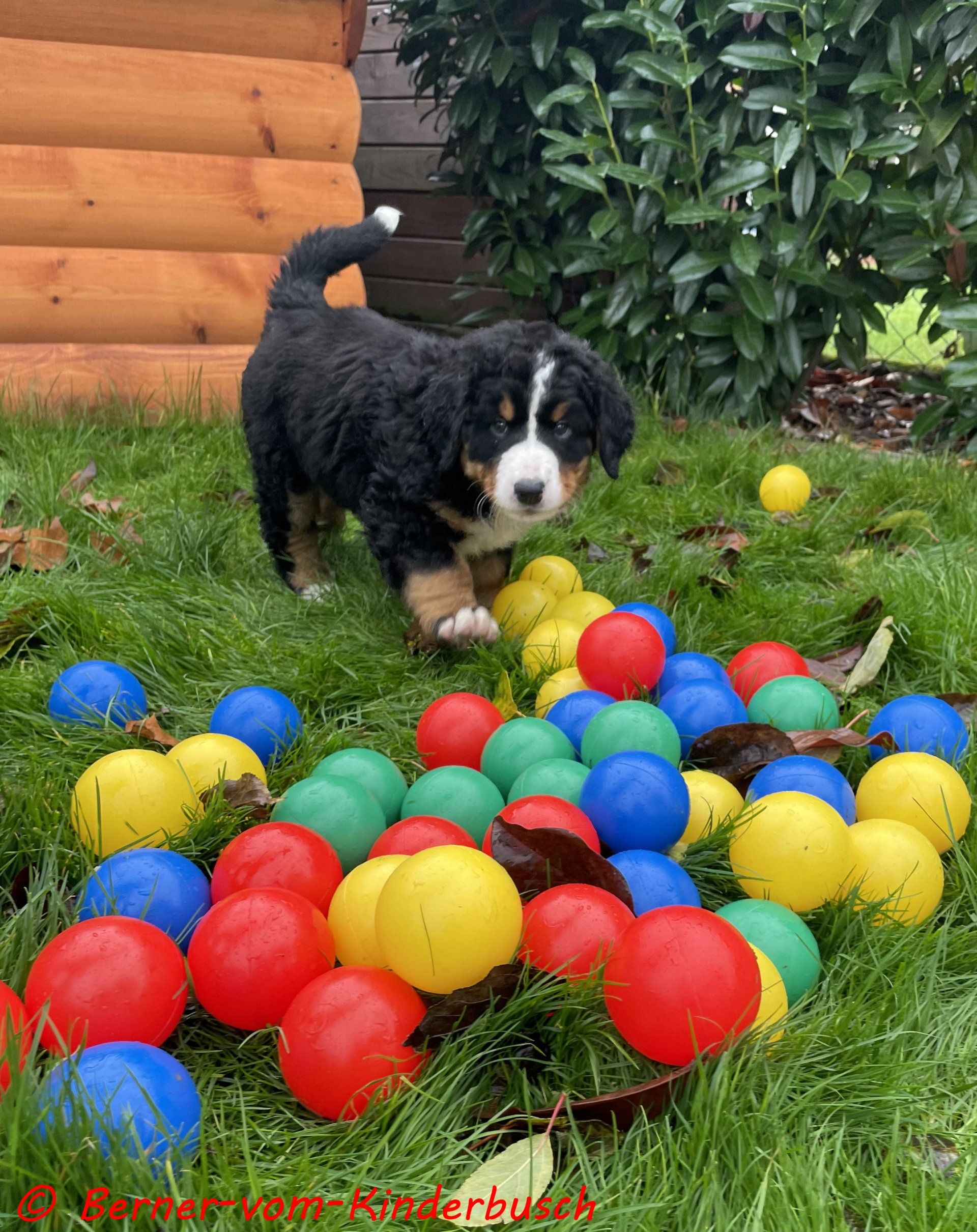 Beth-Paula-vom-Kinderbusch_2021-11-21