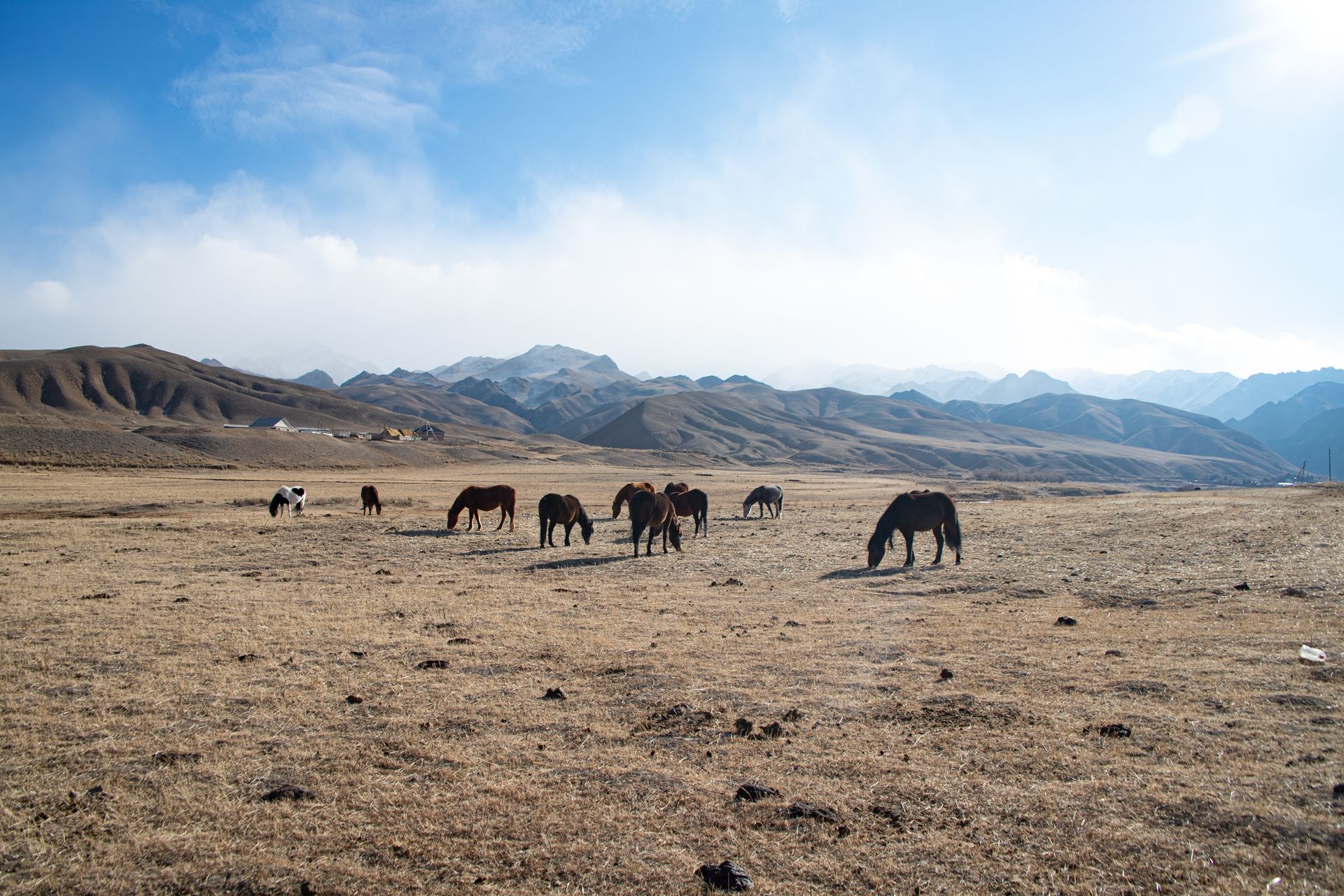 Kyrgyzstan Road Trip Winter December 2024 Lake Issyk-Kul to Naryn Back to Bishkek