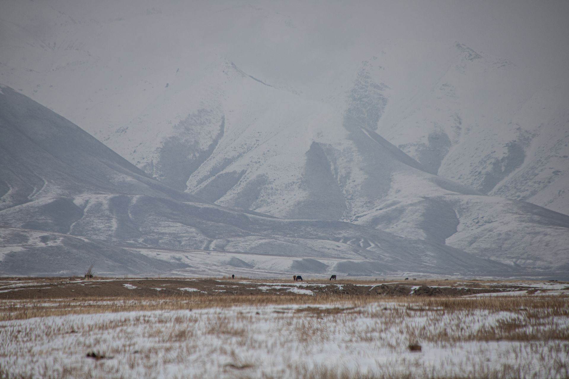 Kyrgyzstan Road Trip Winter December 2024 Lake Issyk-Kul to Naryn Back to Bishkek
