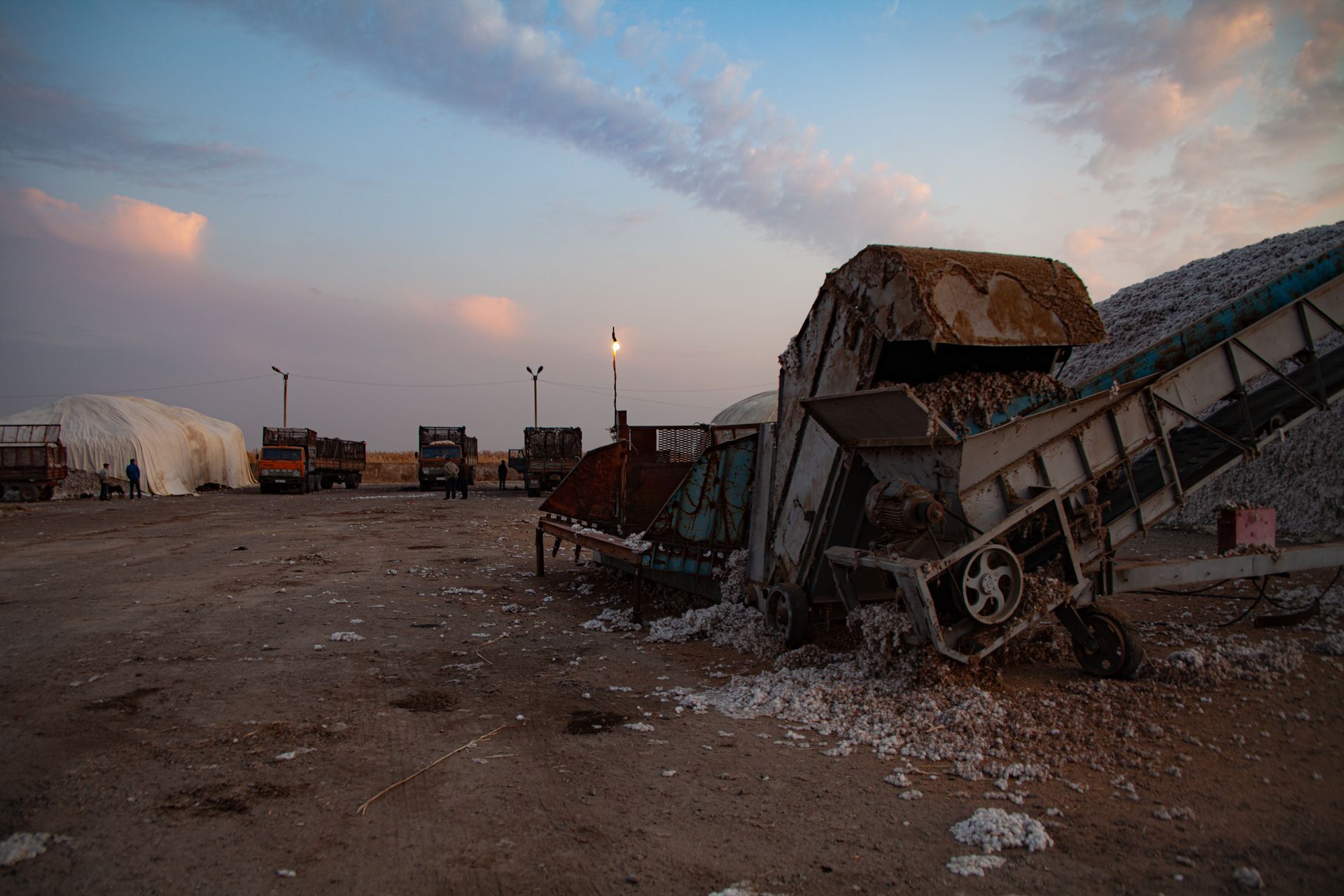2019 South Kazakhstan Cotton Harvest, November 2019