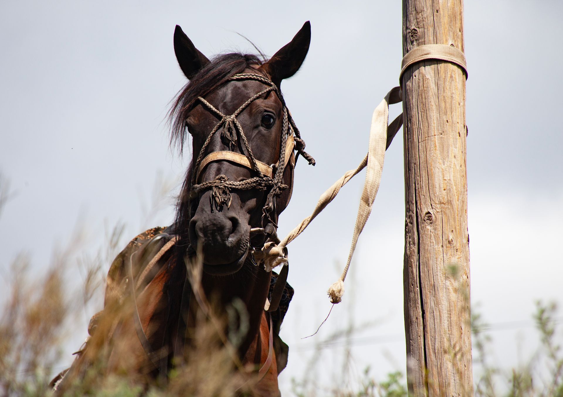 Tian Shan mountains, Offroad 4x4, Summer 2016, South-East Kazakhstan