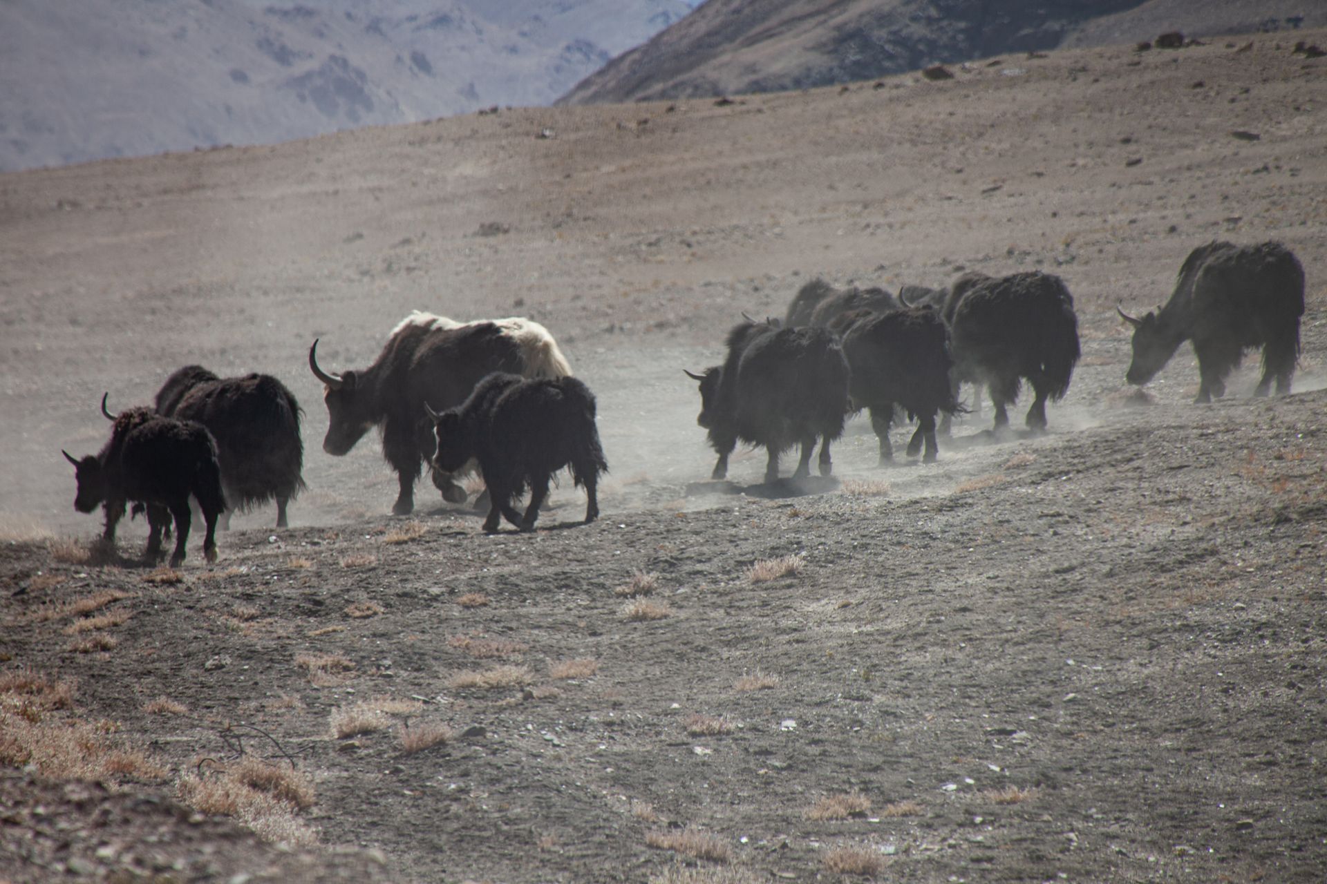 Pamir Highway 2019 Tajikistan Afghanistan