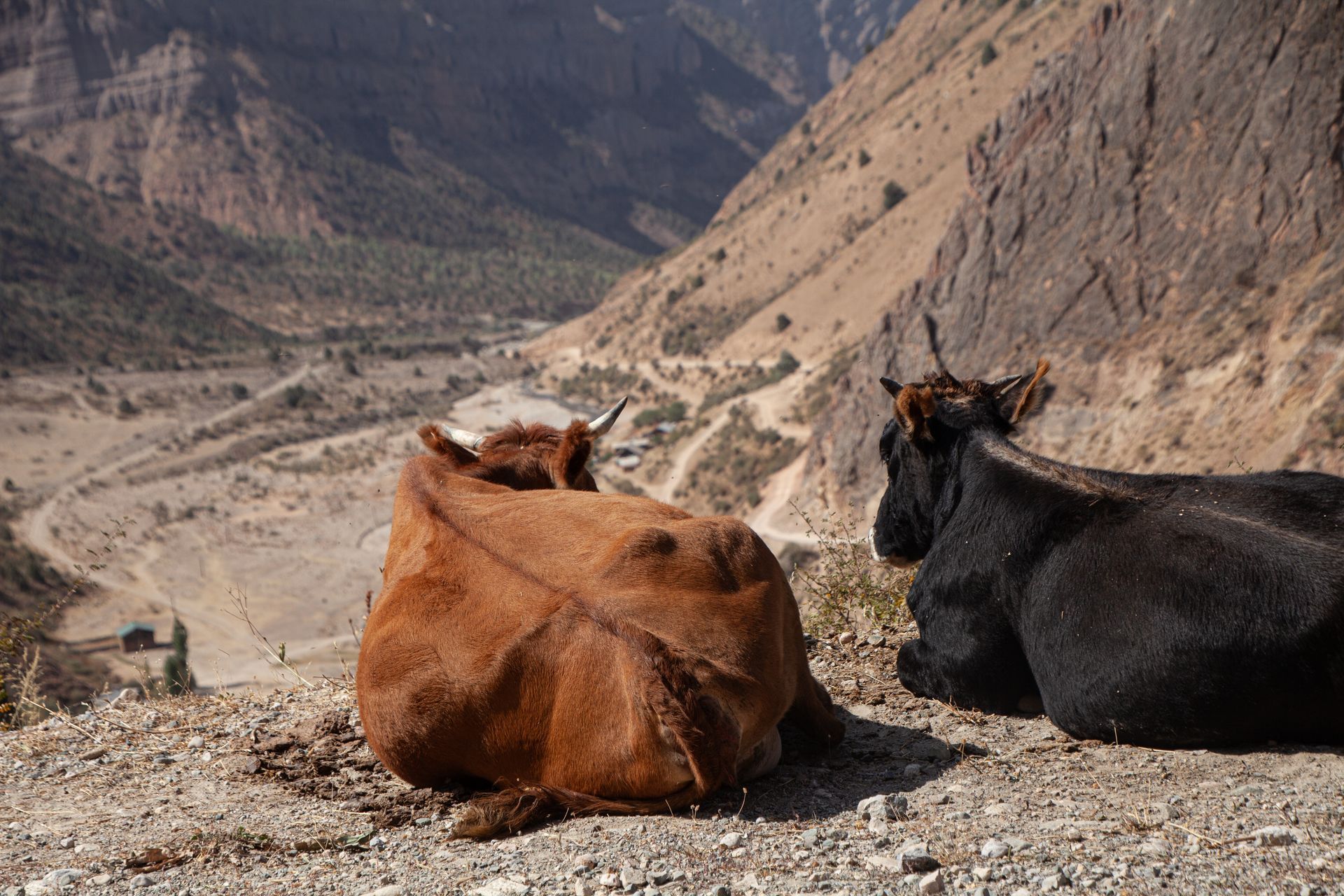 Pamir Highway 2019 Tajikistan Afghanistan