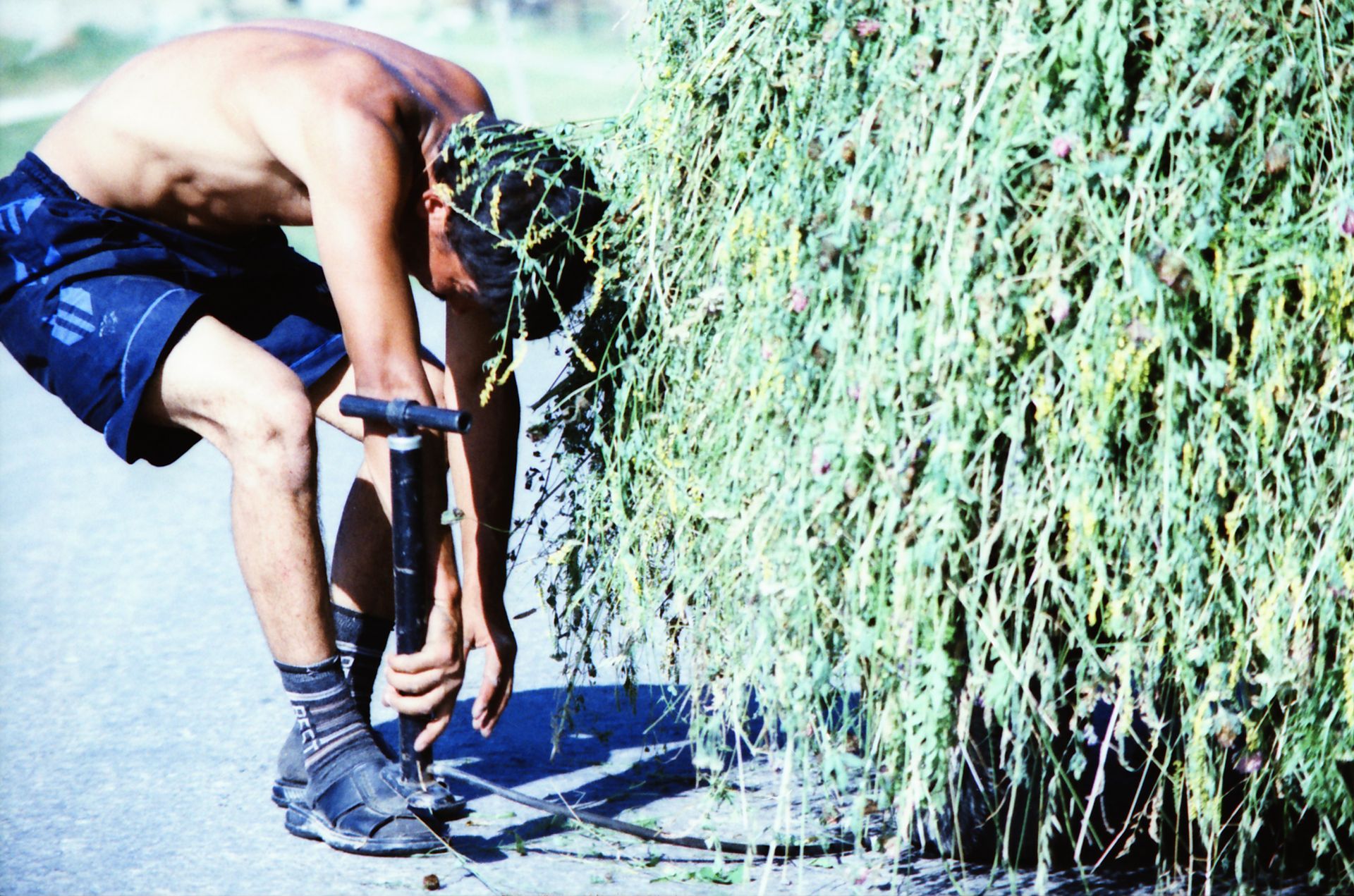 South Kazakhstan Shymkent Harvest Season August September 2005 Cross-processed analog photographic film
