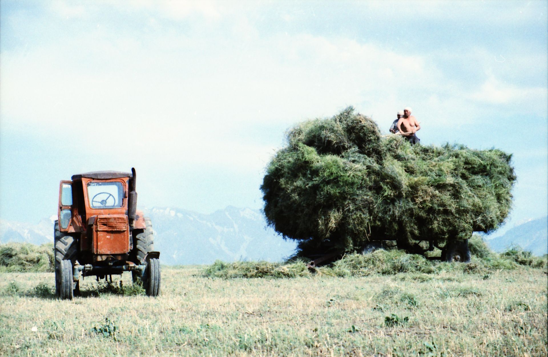 South Kazakhstan Shymkent Harvest Season August September 2005 Cross-processed analog photographic film