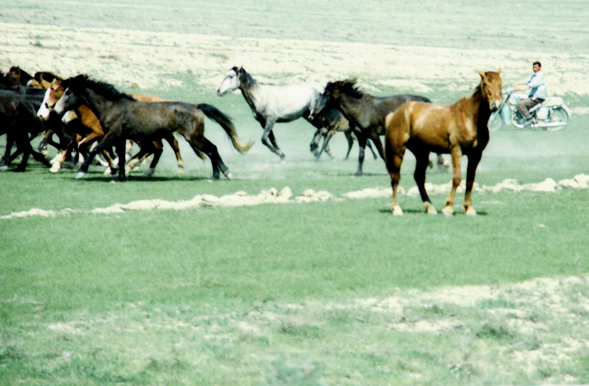 South Kazakhstan Shymkent Harvest Season August September 2005 Cross-processed analog photographic film