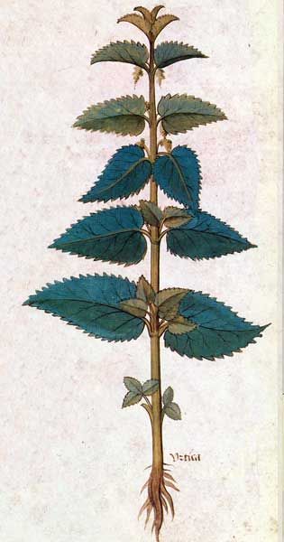 Claire Chevalier chanteuse, stage, chant médiéval, Corconac, Gard