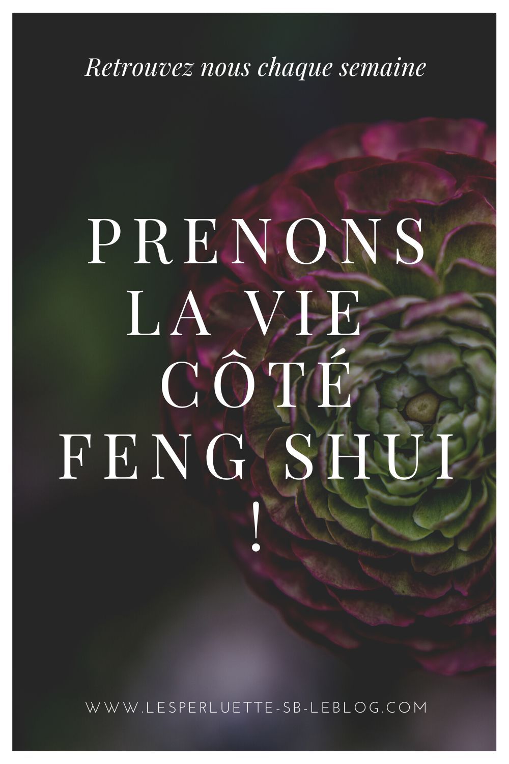 Prenons la vie côté Feng Shui !