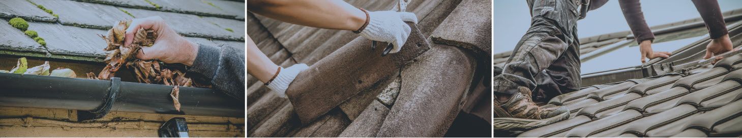 3 Referenzfotos von Produkten der Firma Dachdeckerei TECtum GmbH
