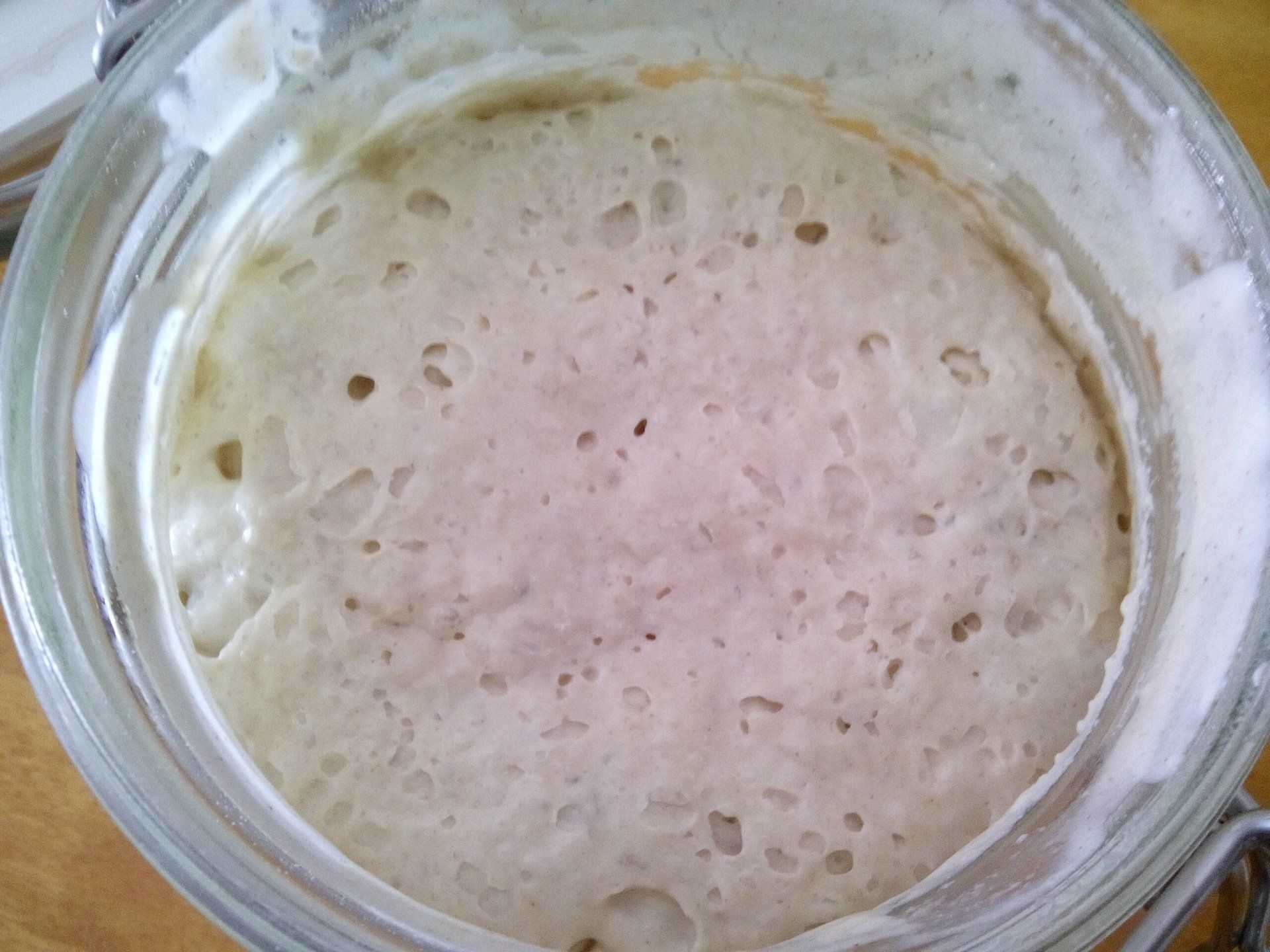 Weizensauerteig Alfred