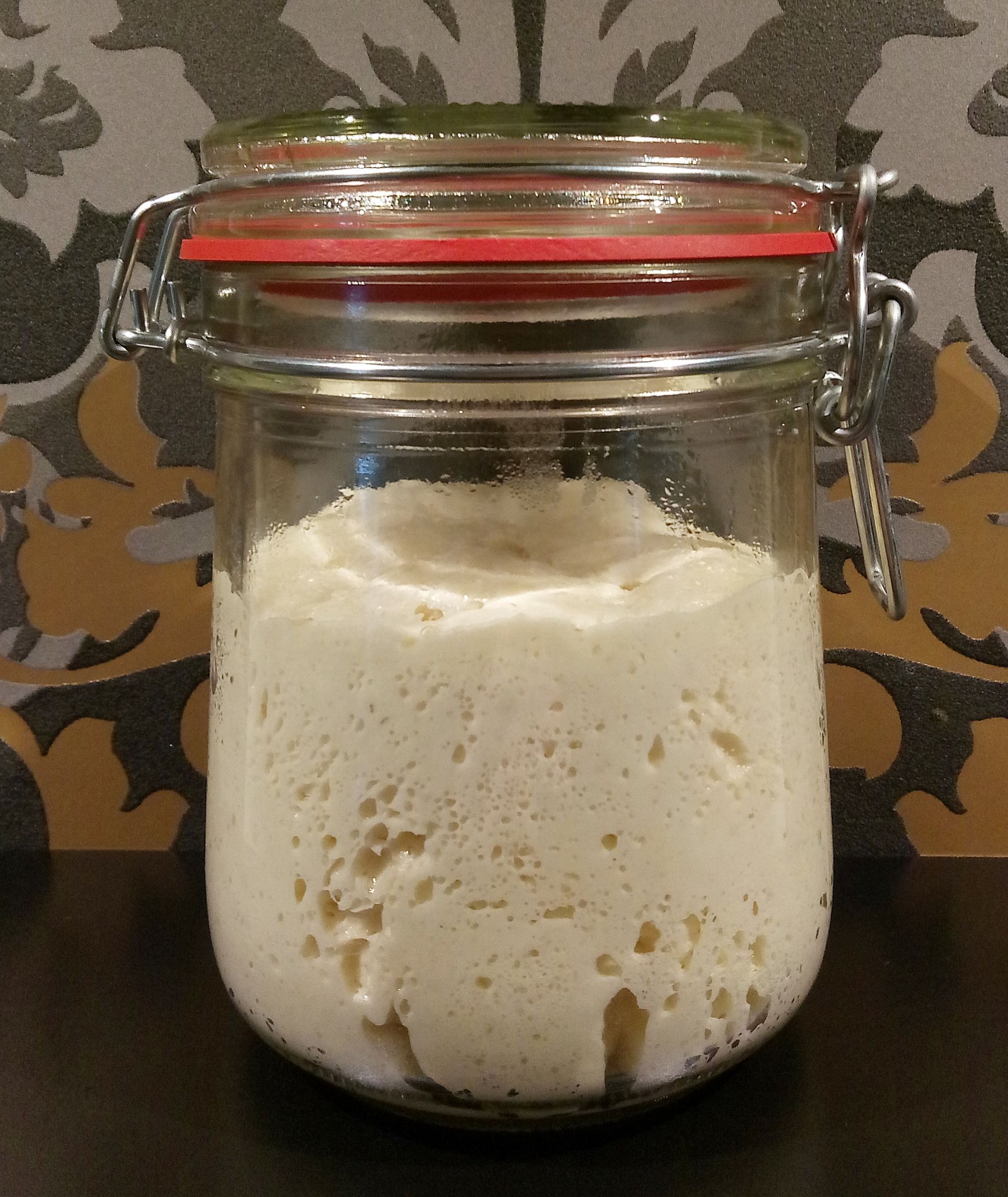 Unser Camillo Lievito Madre