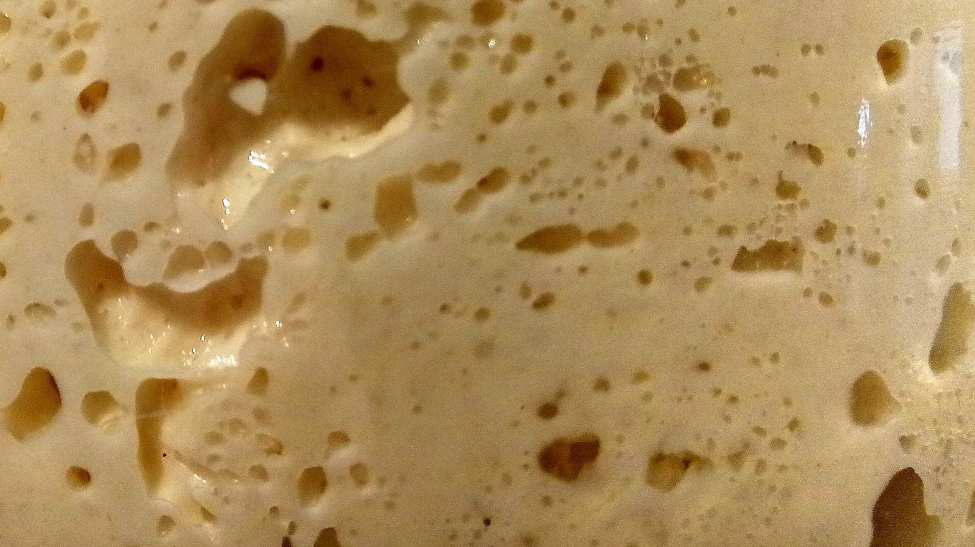 Fleißiger Lievito Madre Italienischer Sauerteig