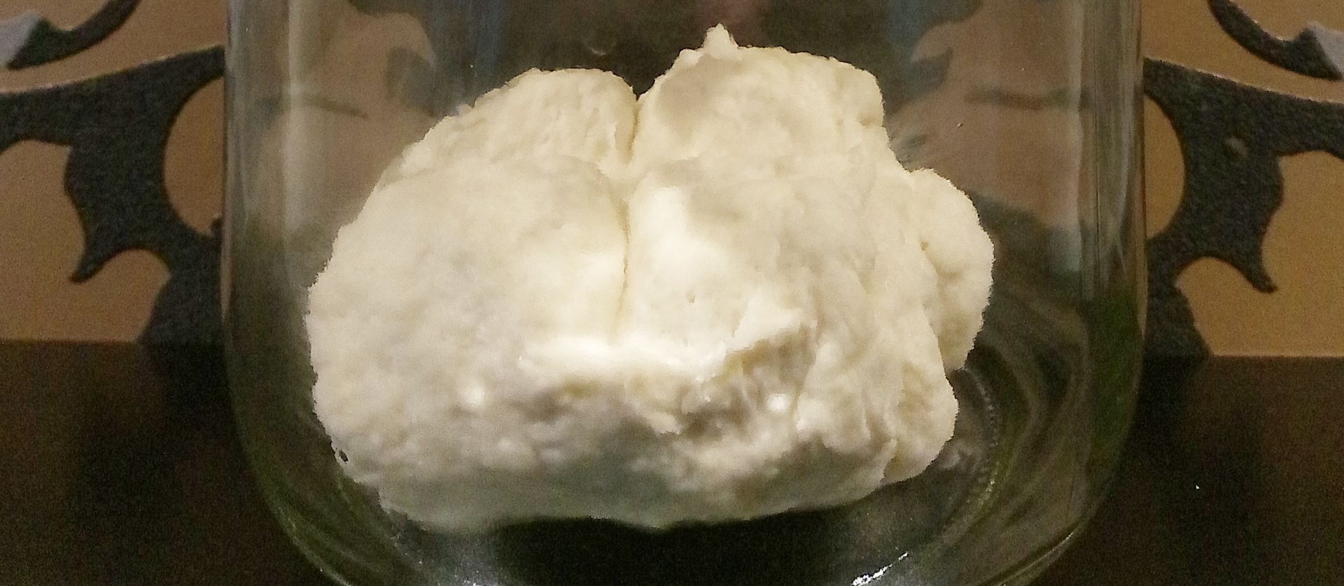 Lievito Madre italienischer Sauerteig