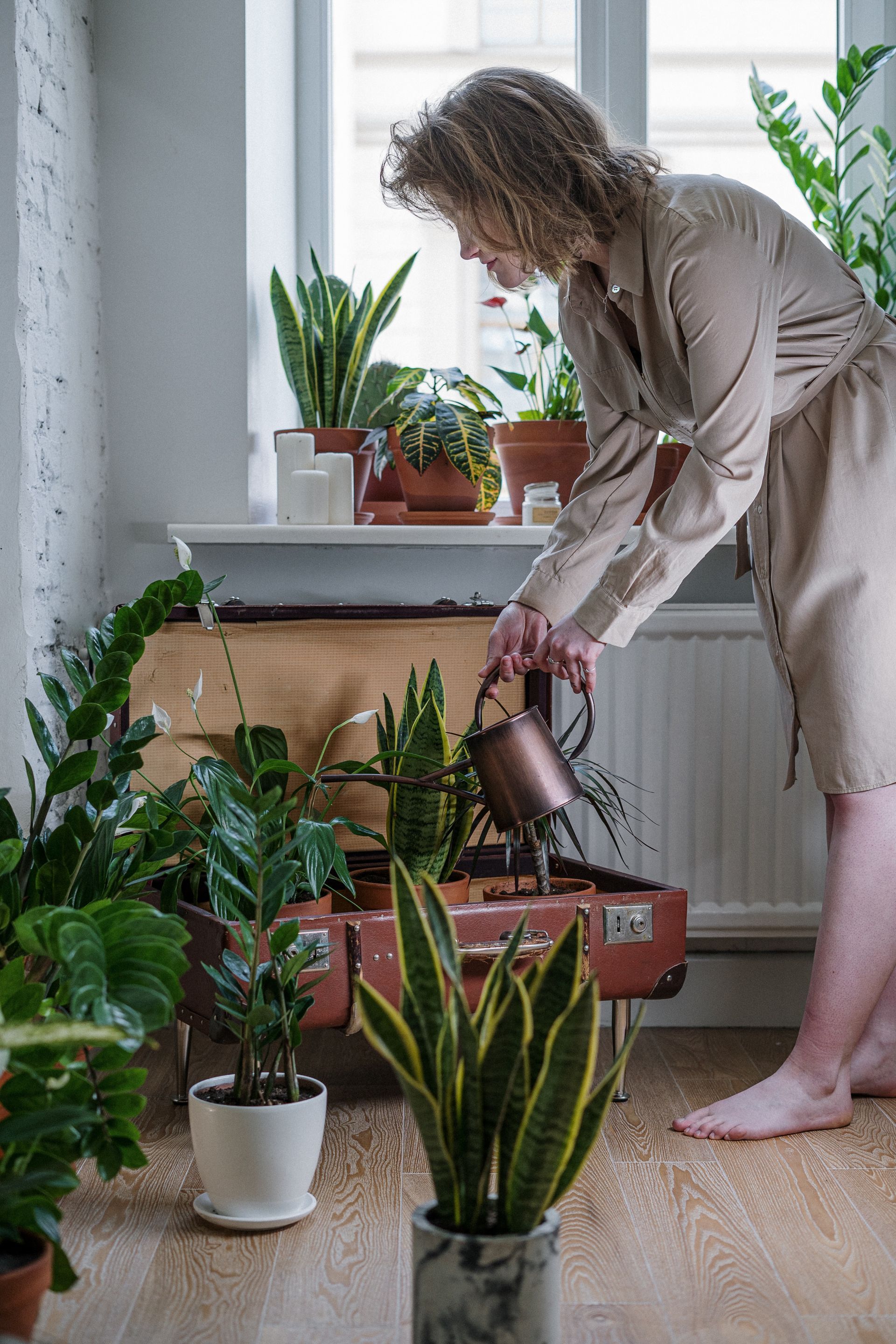 A young lady watering her indoor plants.