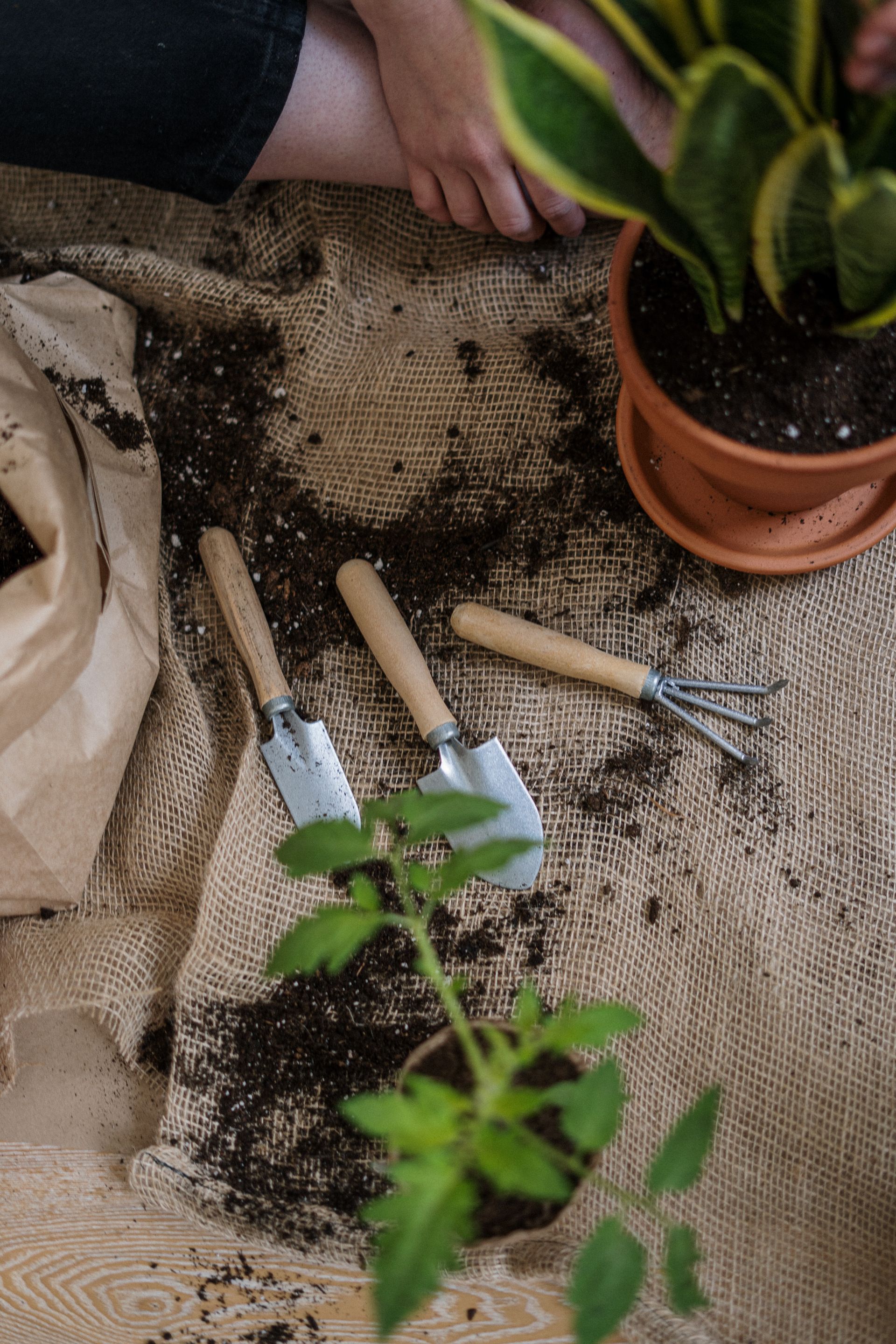 A few gardening tools and mulch, sitting on a piece of burlap.