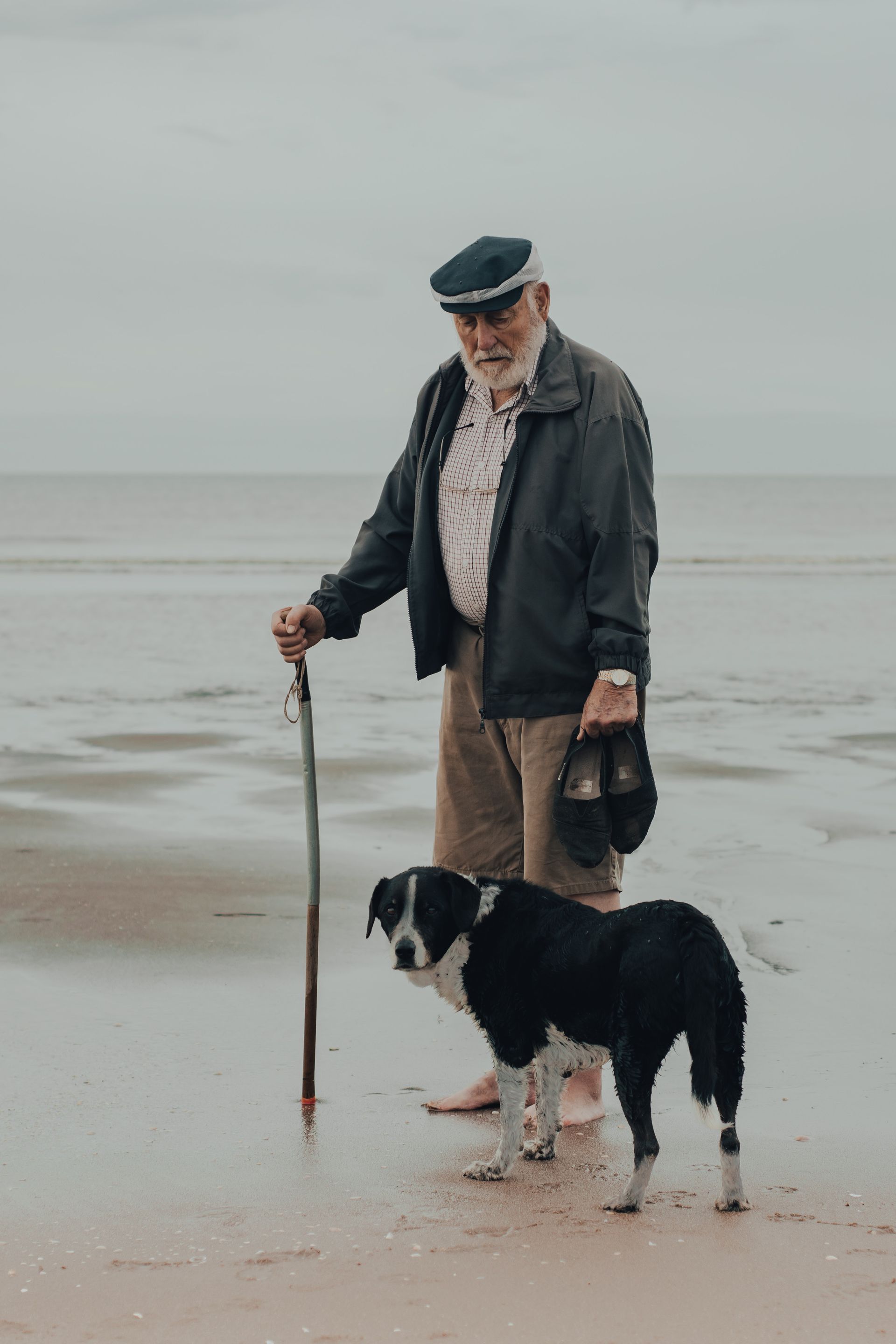 An elderly man walking with his dog, on the beach.
