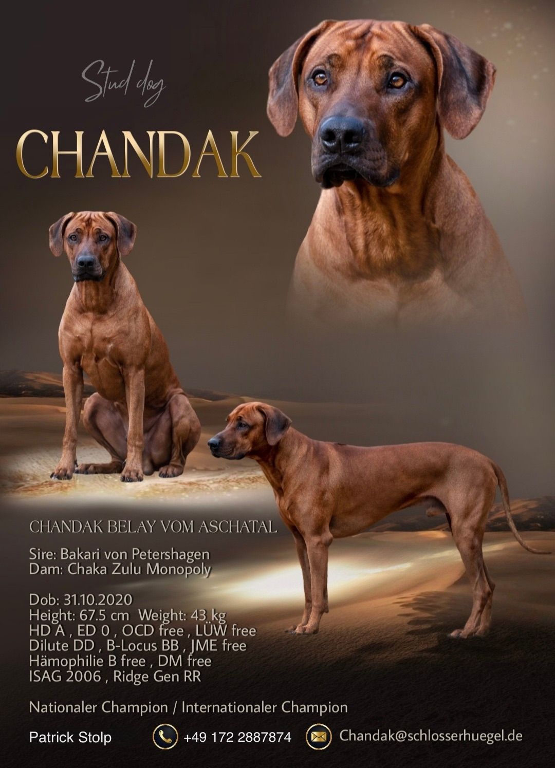 Asani von der alten Aue Asani von der alten Aue