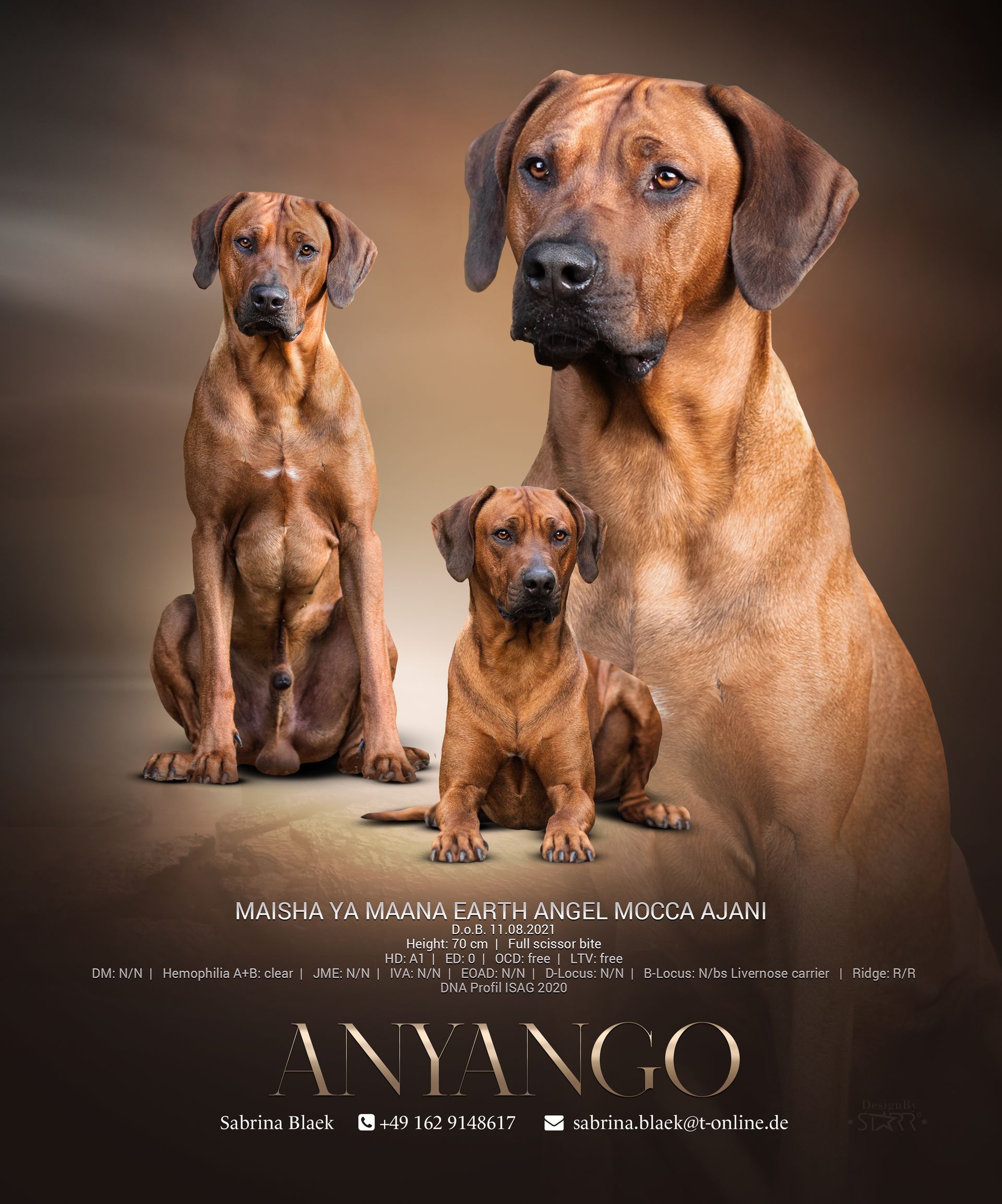 Burhani Aziz aus dem Artland Burhani Aziz aus dem Artland