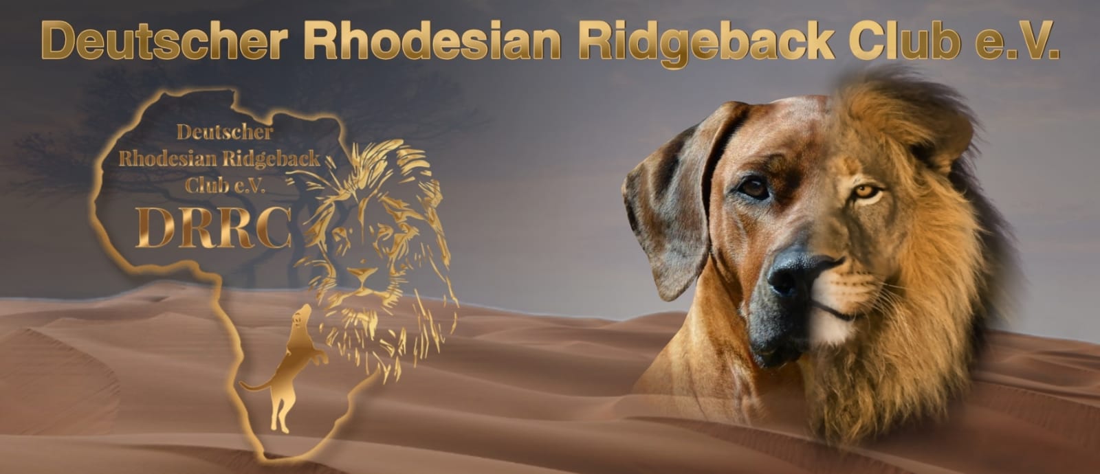 Herzlich Willkommen - Deutscher Rhodesian Ridgeback Club