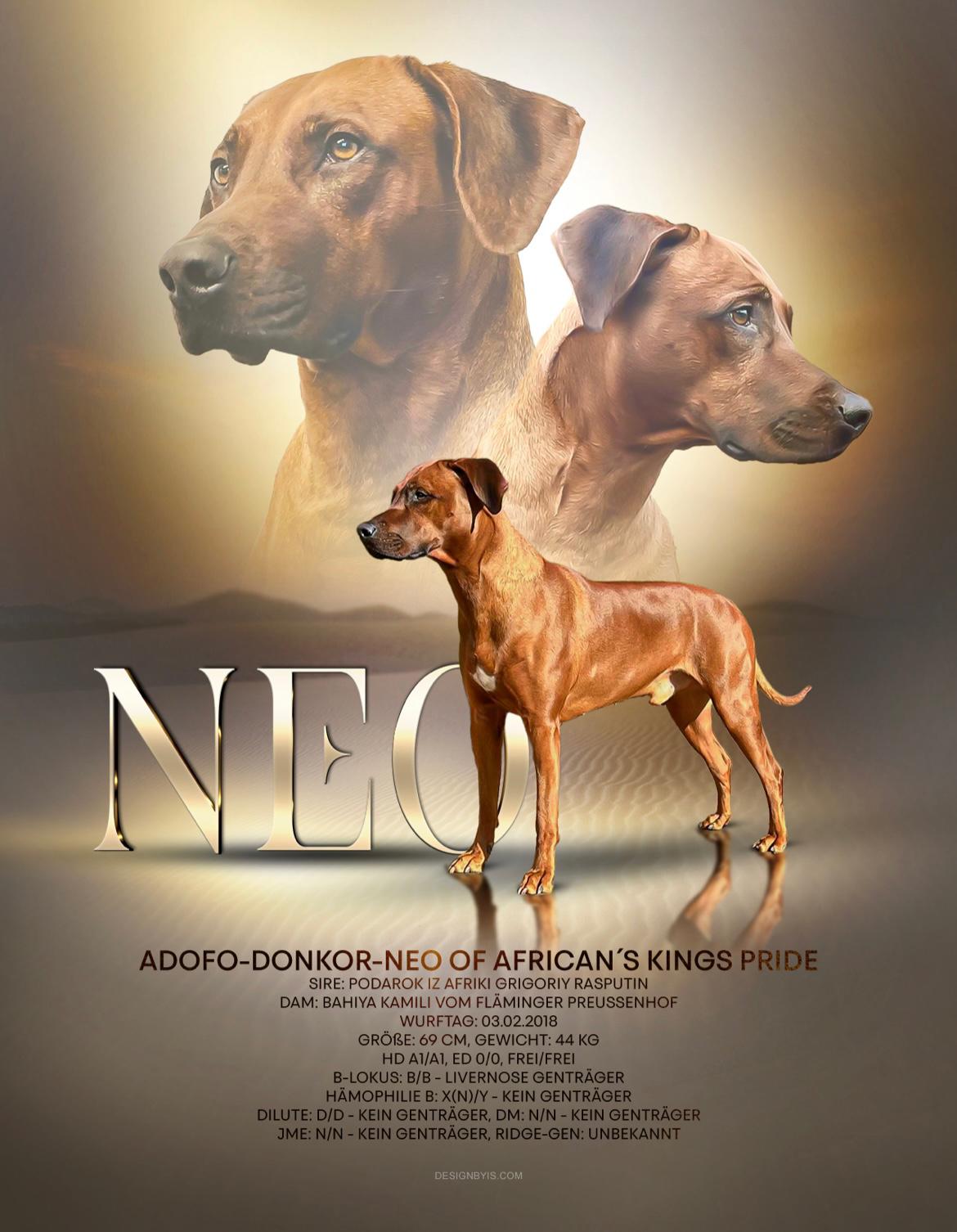 Asani von der alten Aue Asani von der alten Aue