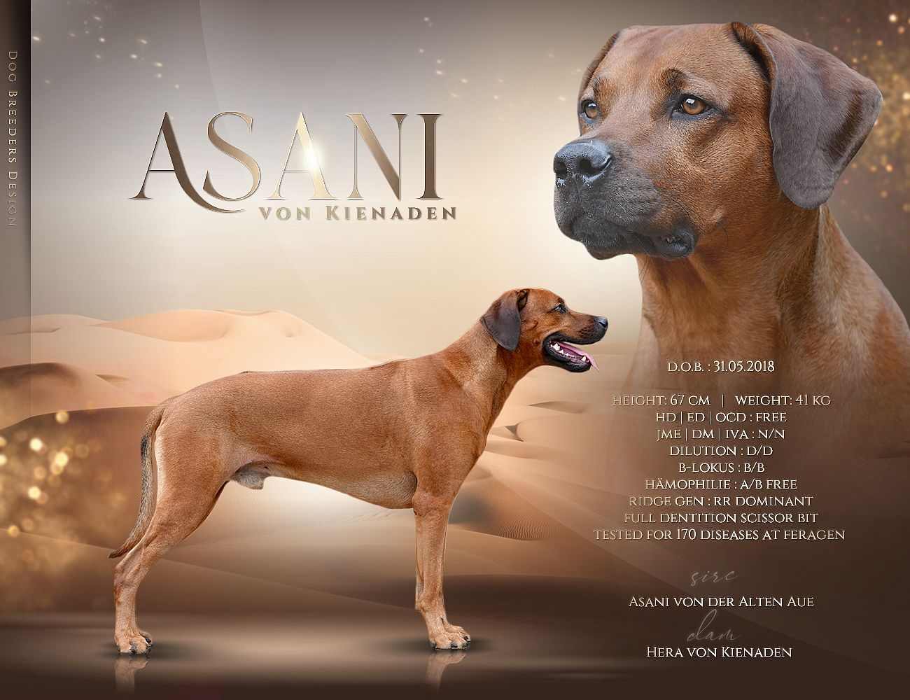 Asani von Kienaden Asani von Kienaden