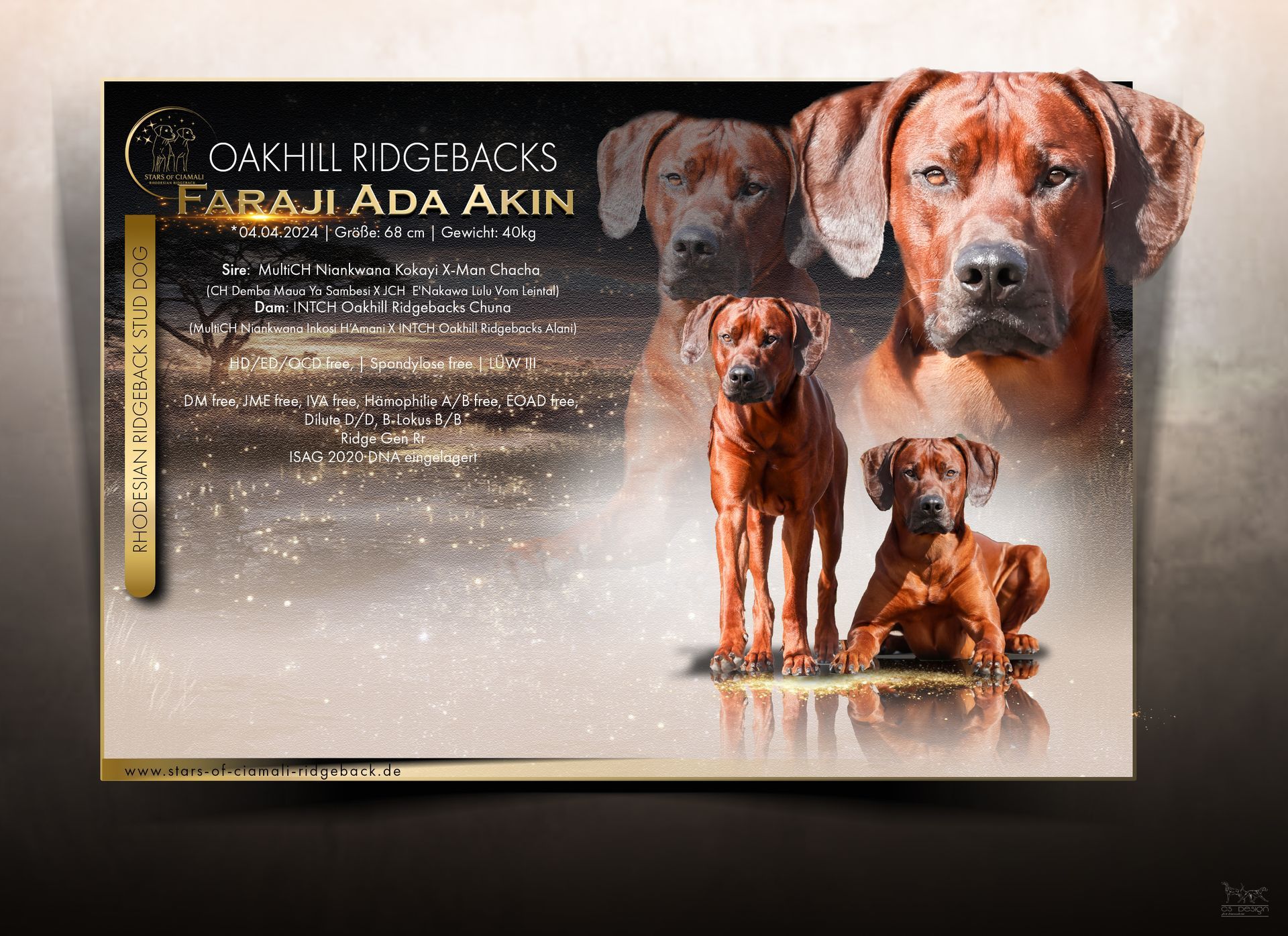 Asani von Kienaden Asani von Kienaden