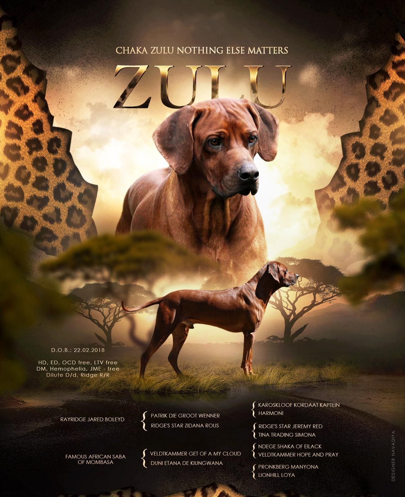 Baakir vom Kiliansberg Baakir vom Kiliansberg