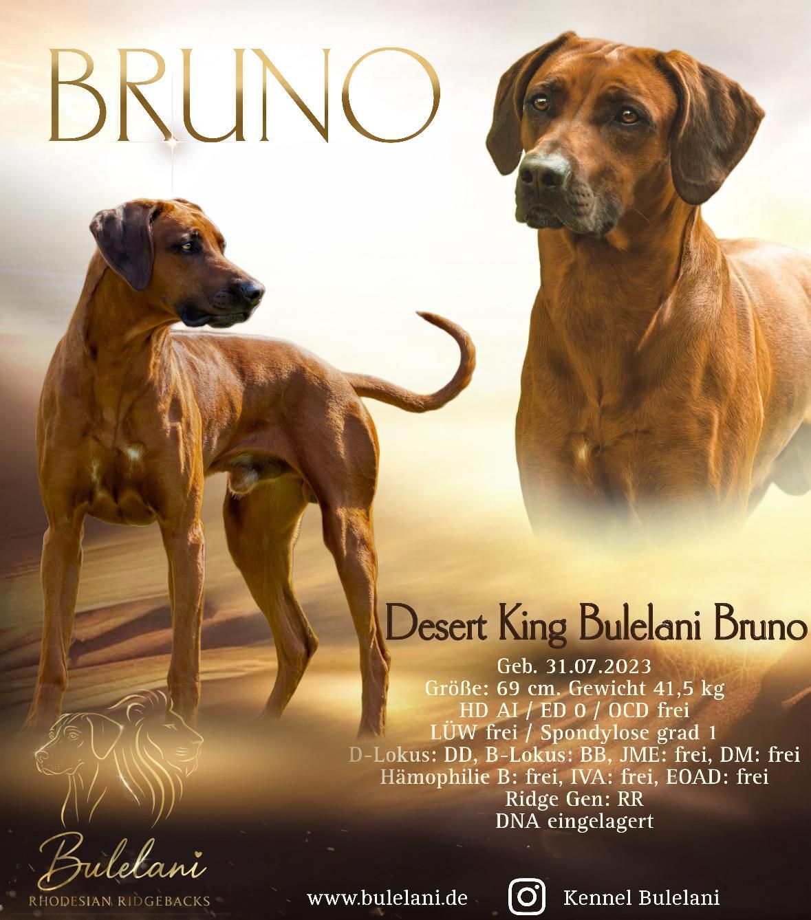 Aplus Excalibur Fire Tzavo Aplus Excalibur Fire Tzavo